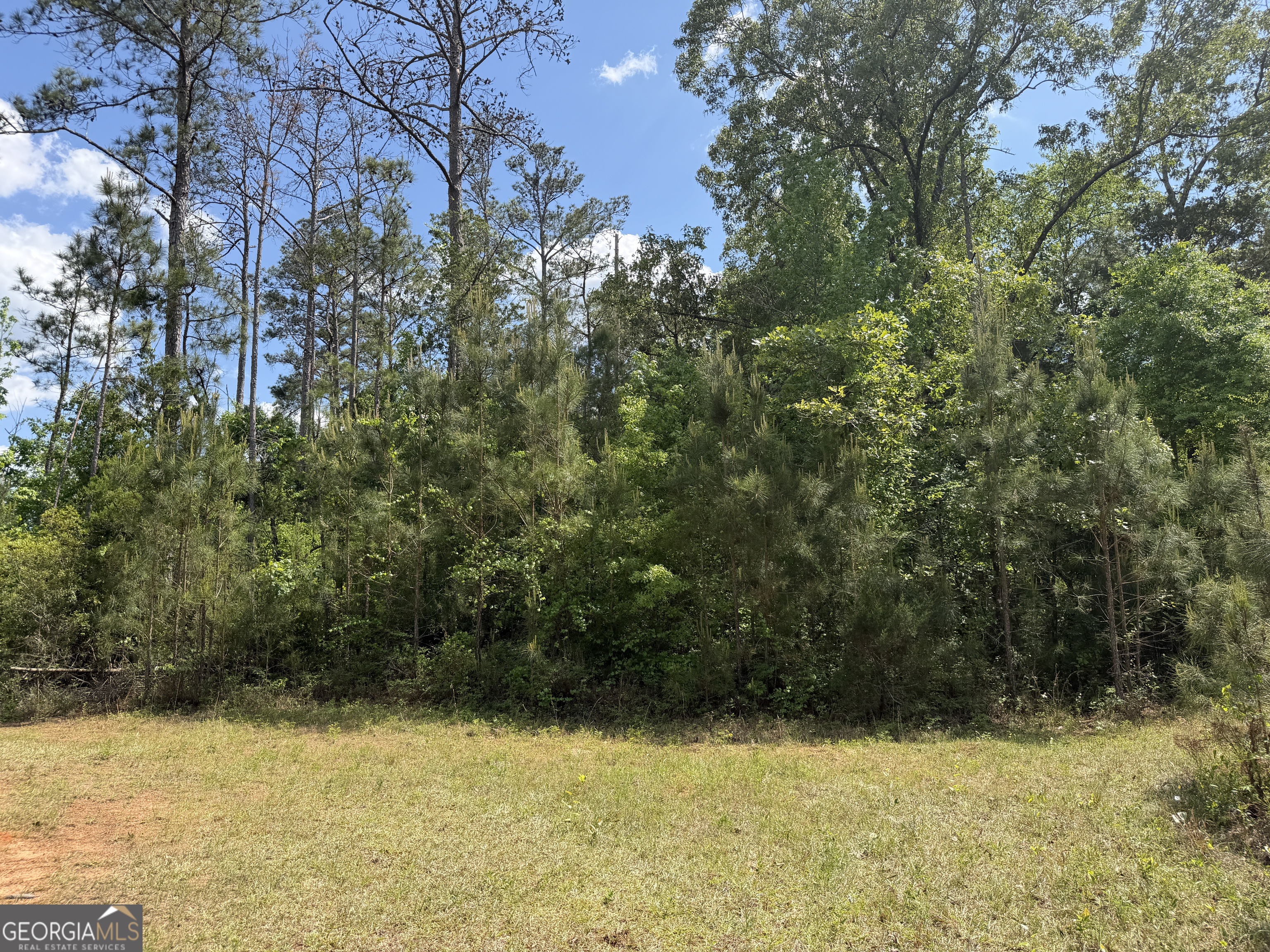001 George Milling Road Property Photo 7