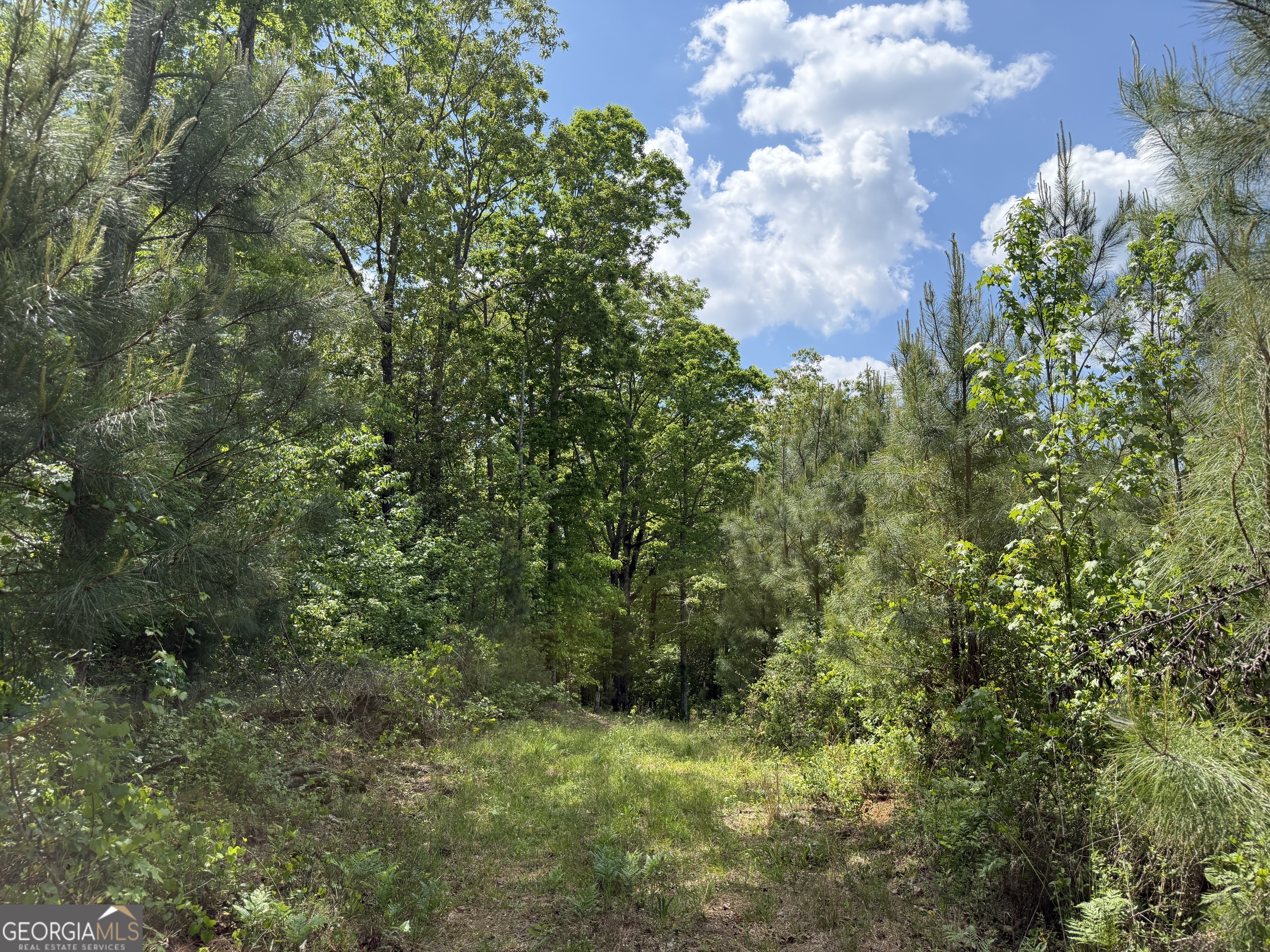 005 George Milling Road Property Photo 1
