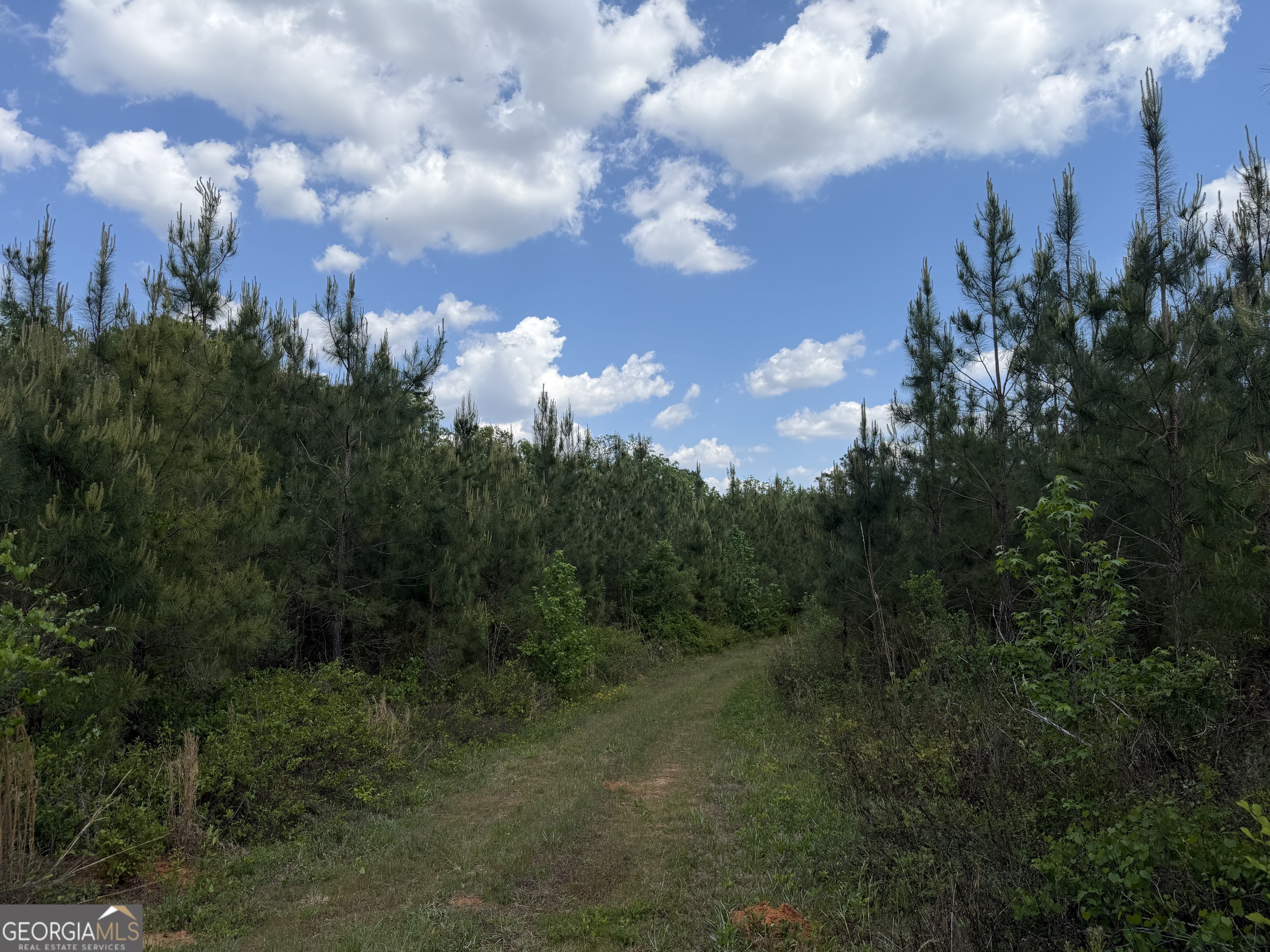 005 George Milling Road Property Photo 3