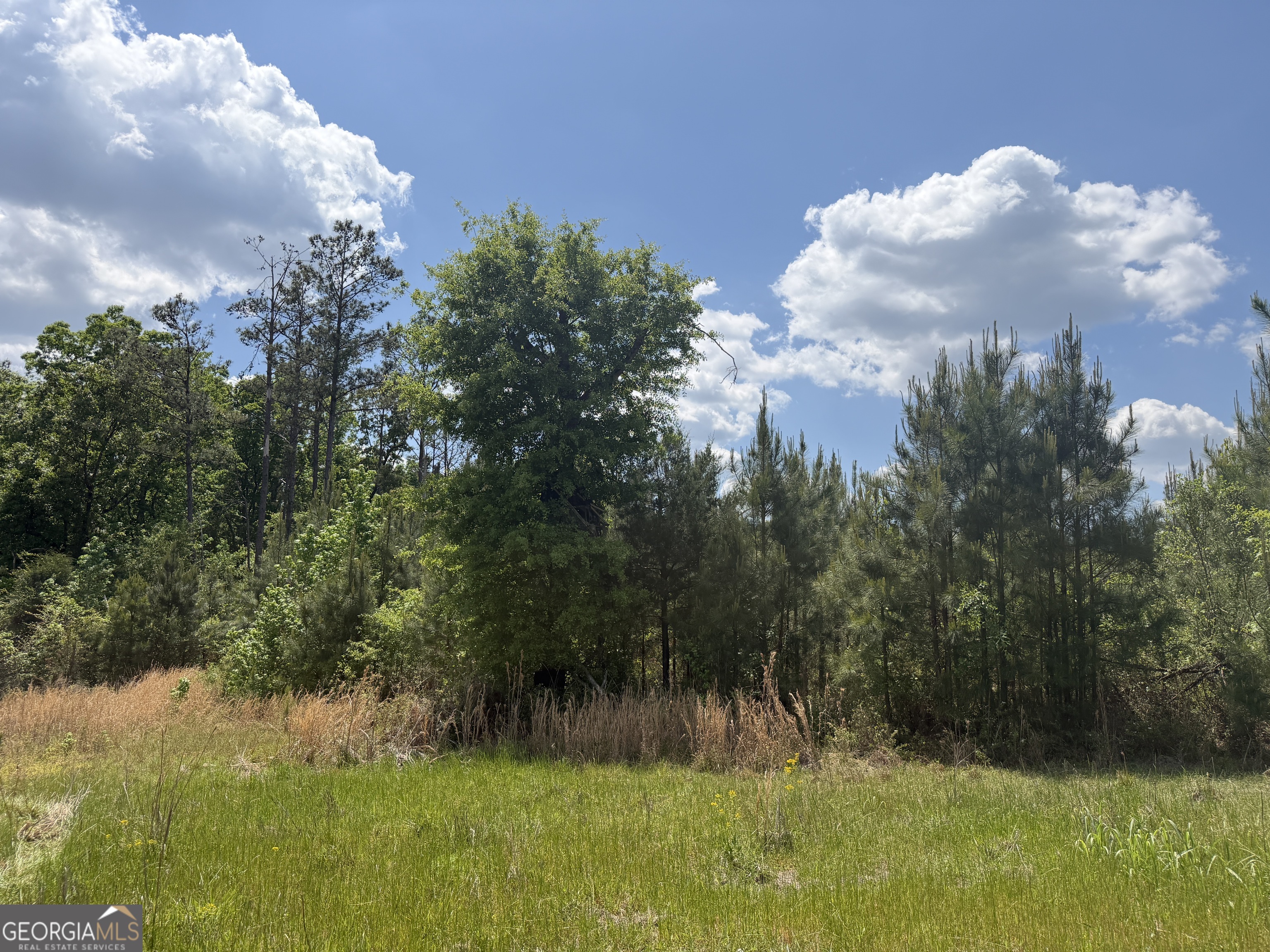 005 George Milling Road Property Photo 4