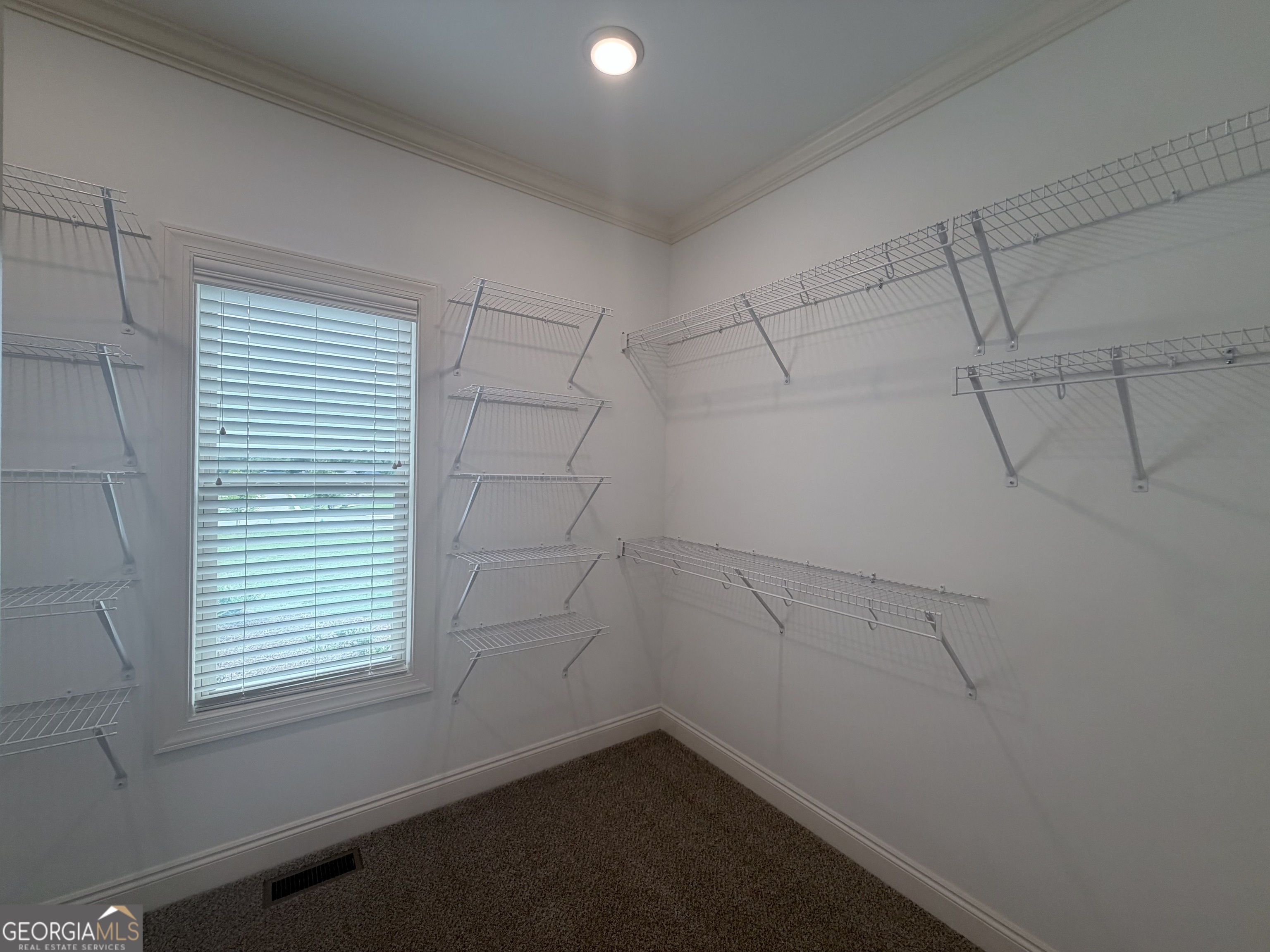 2342 Beebalm Drive Property Photo 17