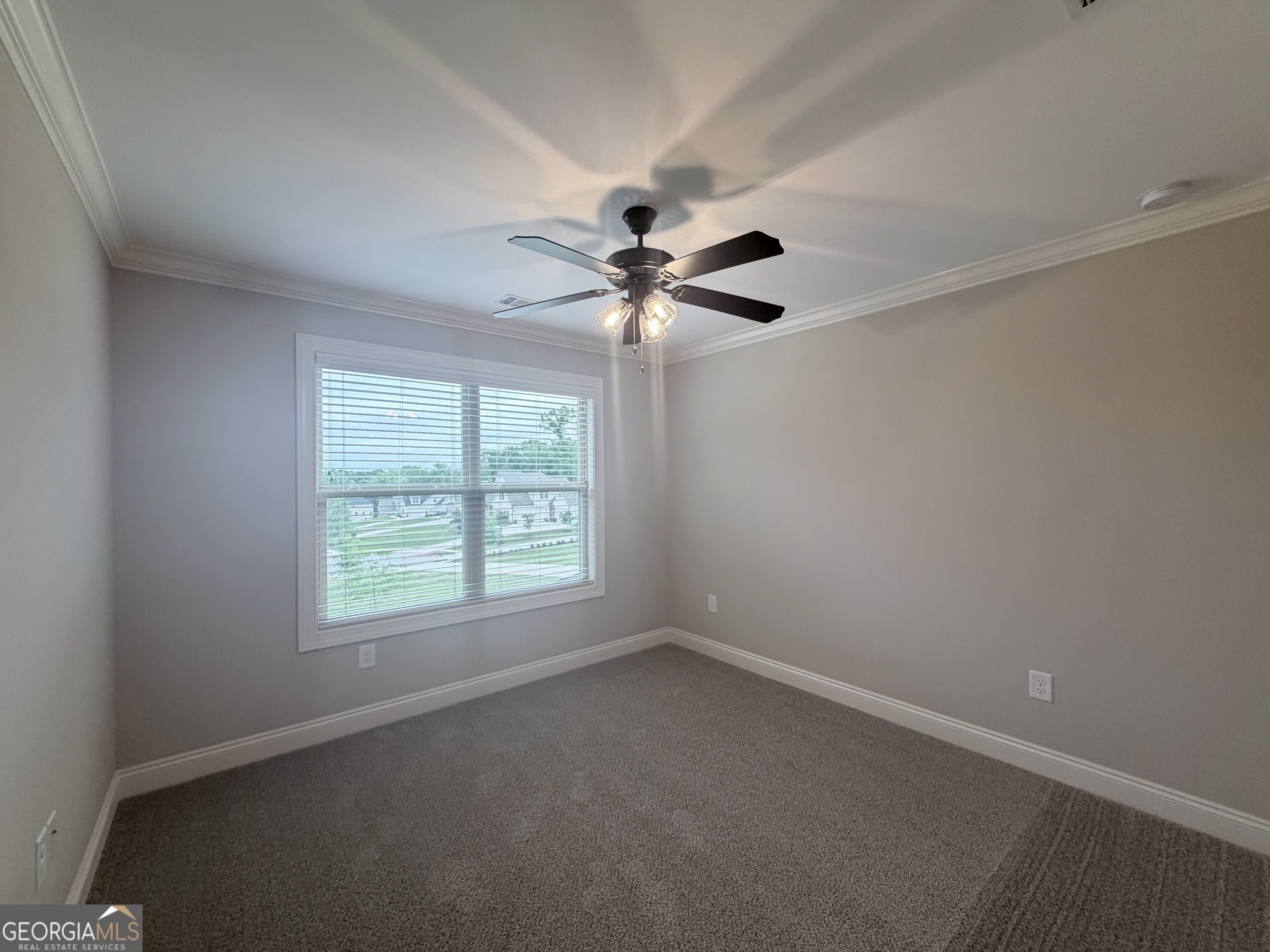2342 Beebalm Drive Property Photo 20