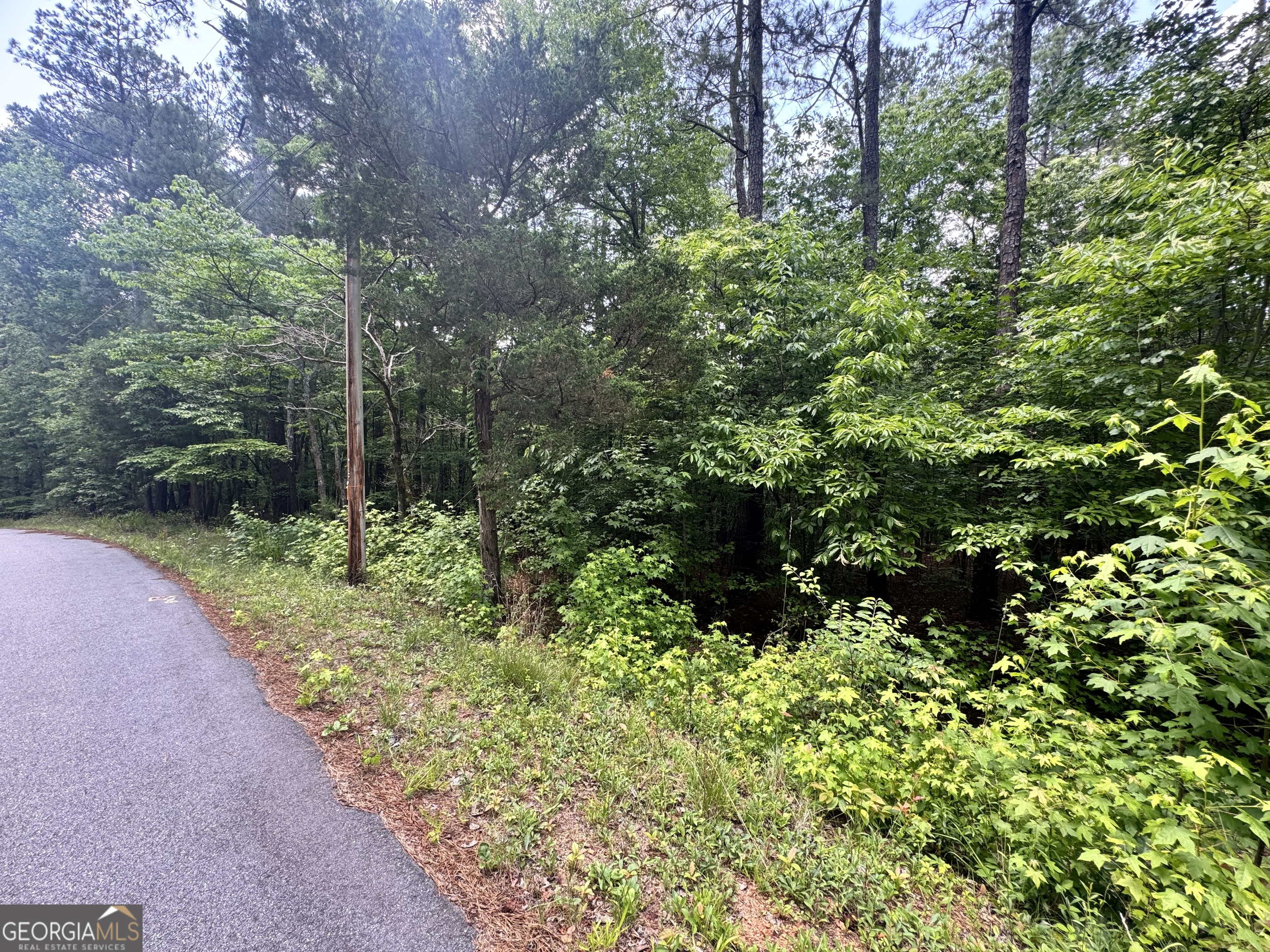 8017 Longleaf Drive Property Photo 4