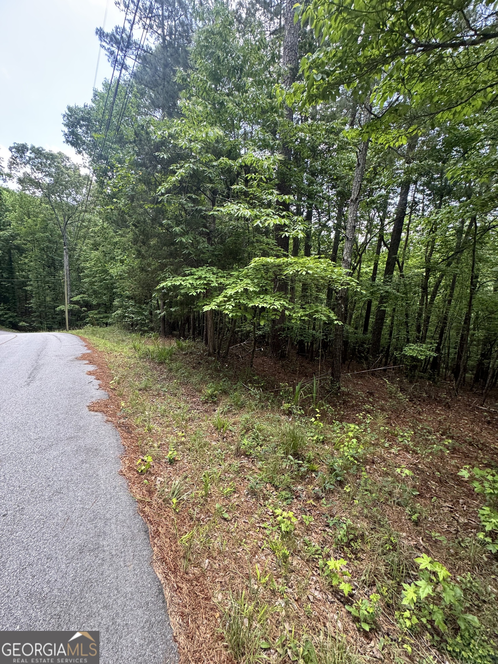 8017 Longleaf Drive Property Photo 7