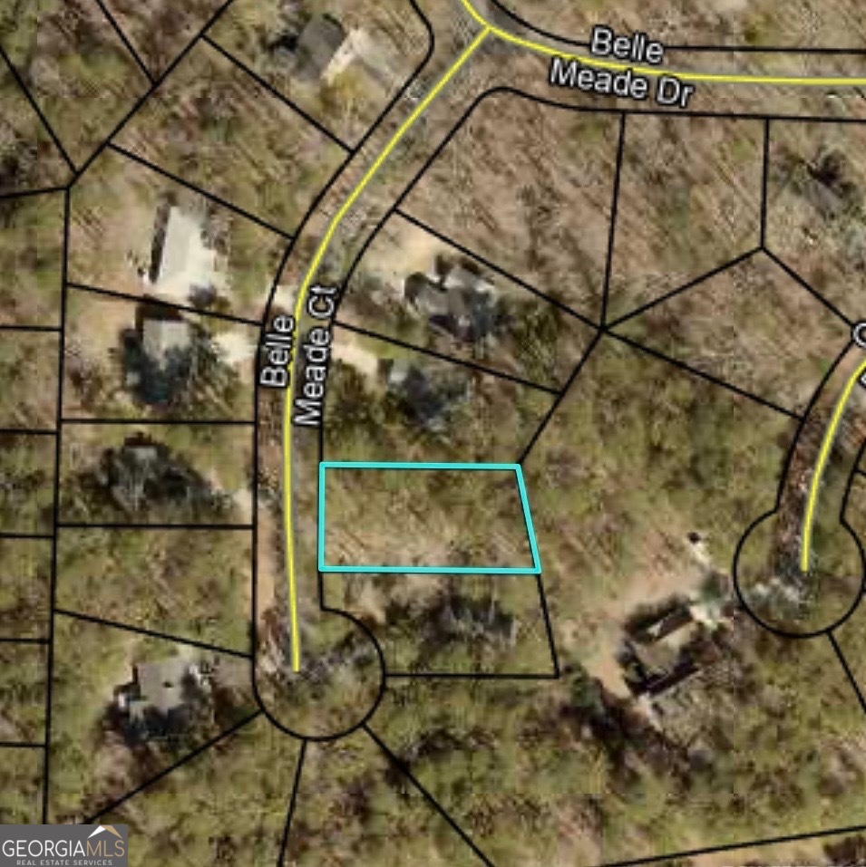 6031 Belle Meade Court Property Photo 1