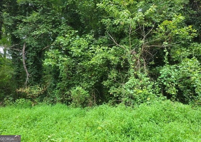 0 Clemmons Drive Property Photo 1