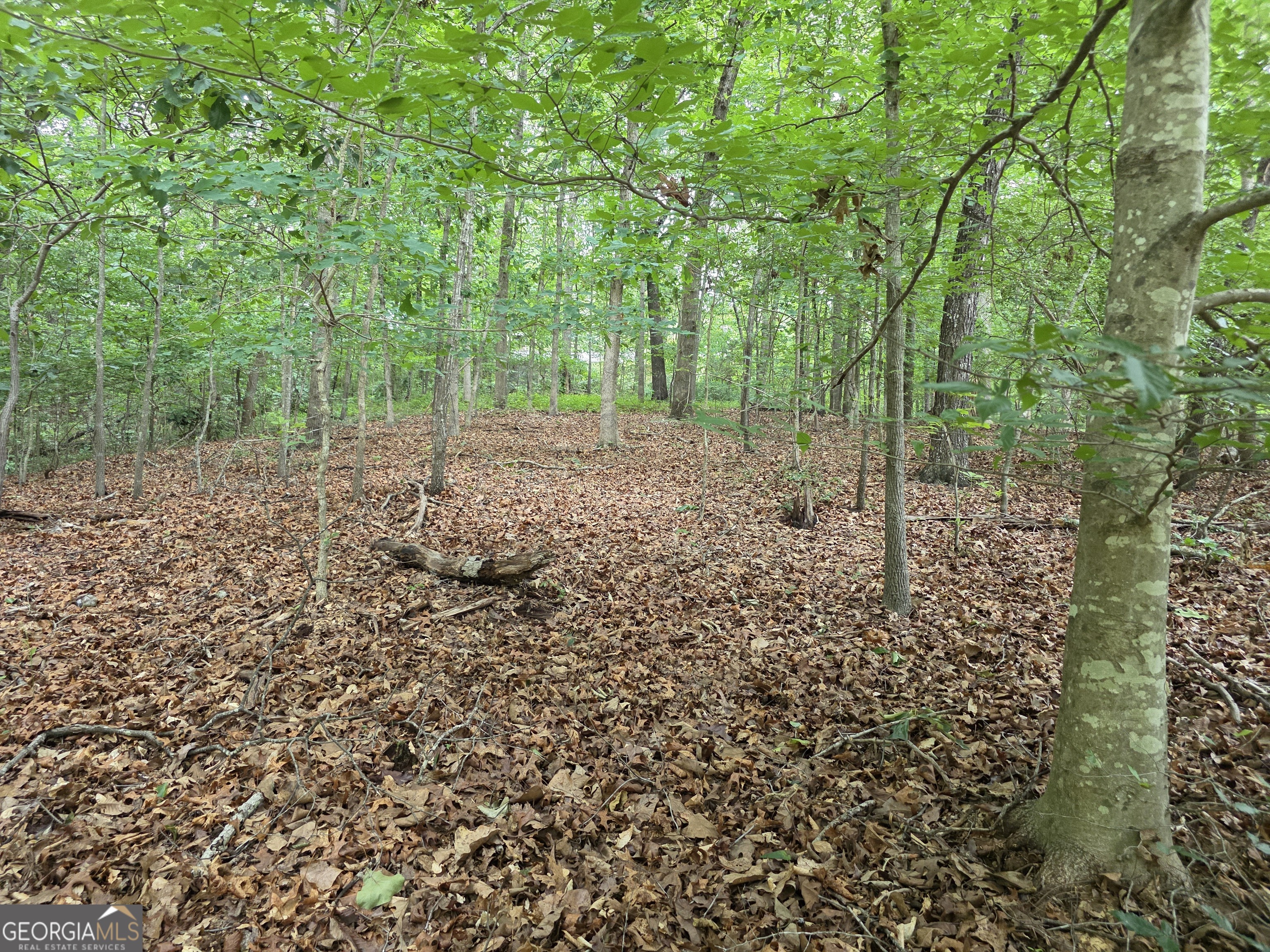 LOT 270 Arrow Lane Property Photo 1