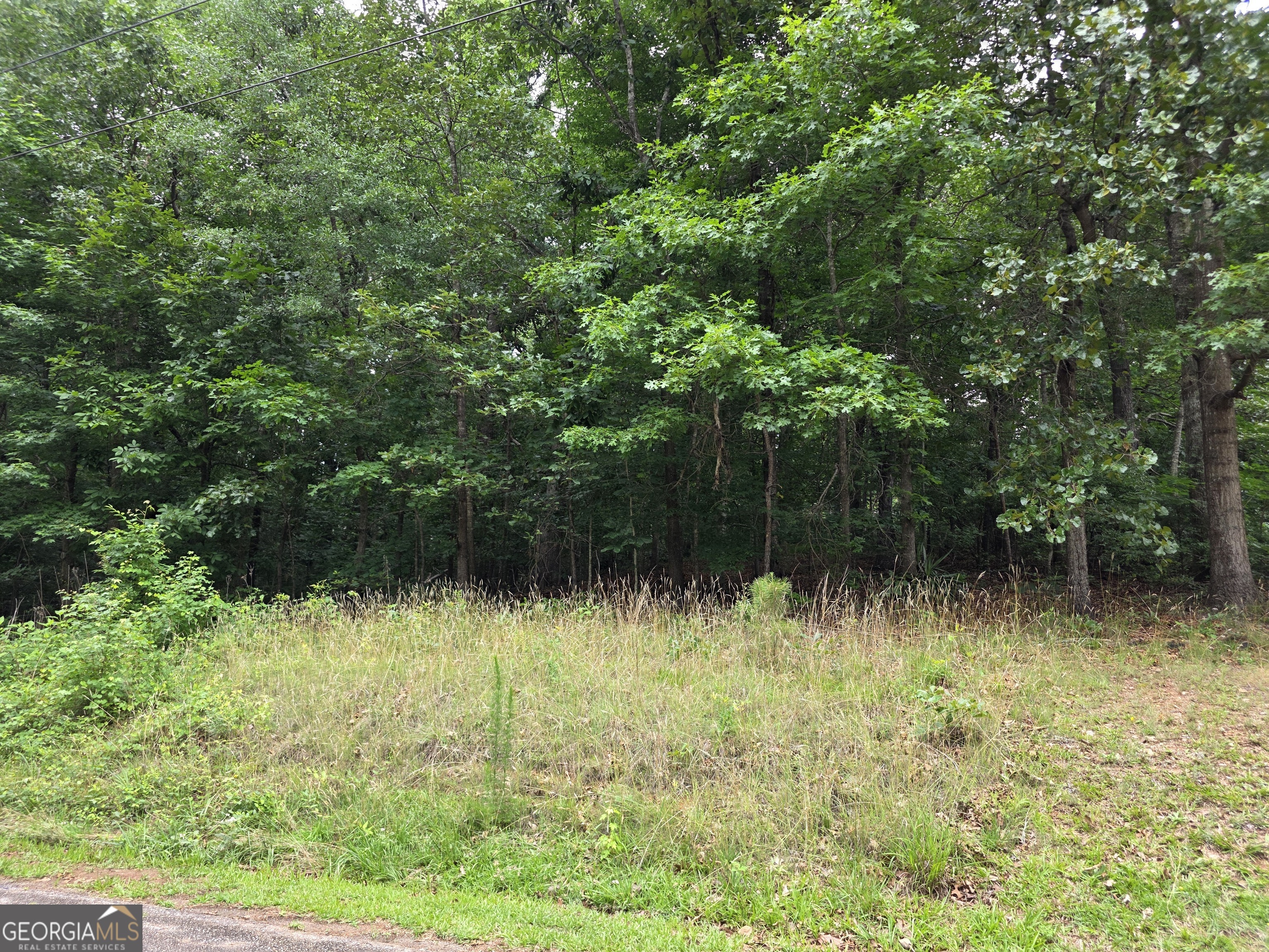 Lot 270 Arrow Lane Property Photo 2