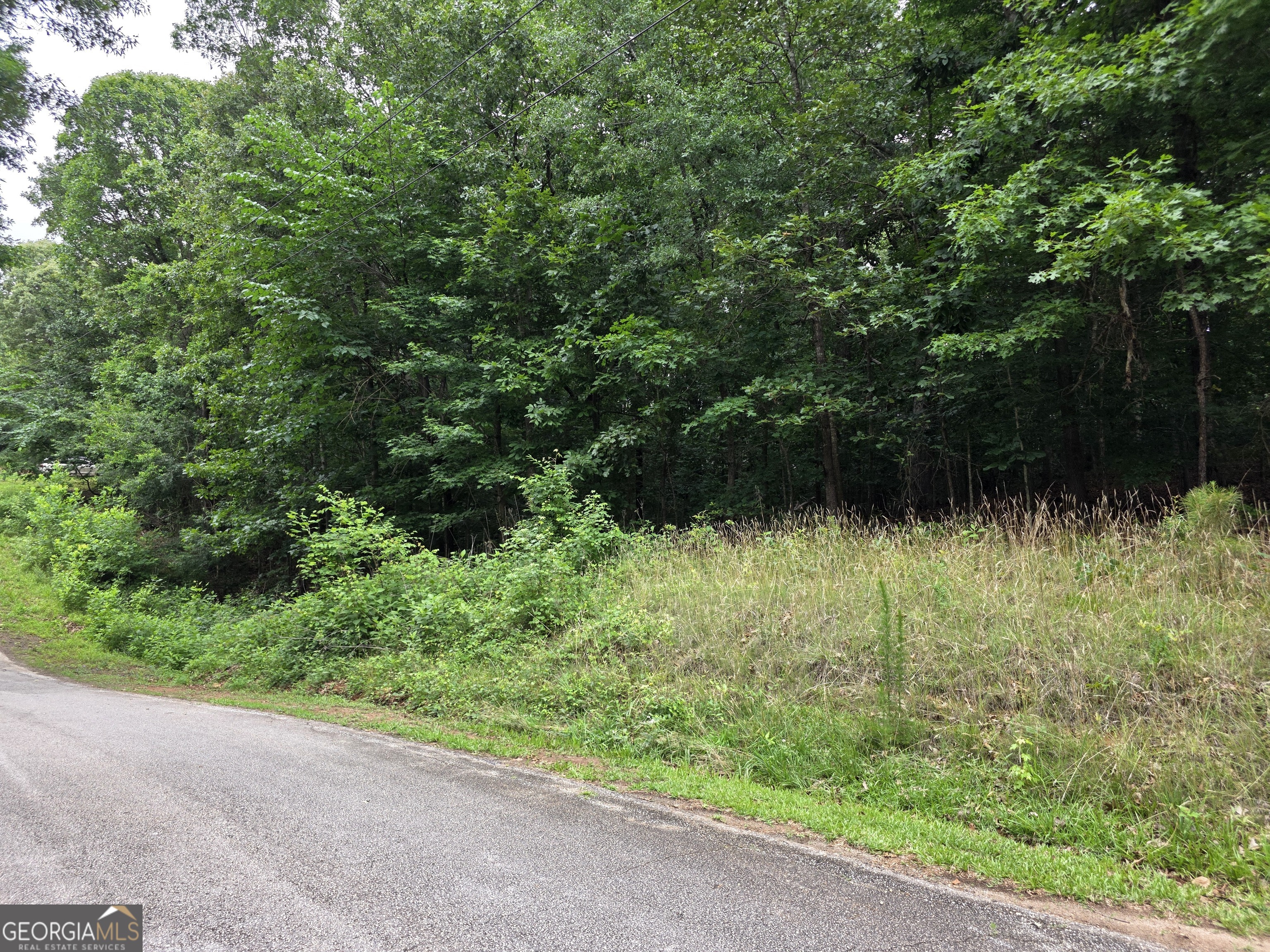 Lot 270 Arrow Lane Property Photo 3