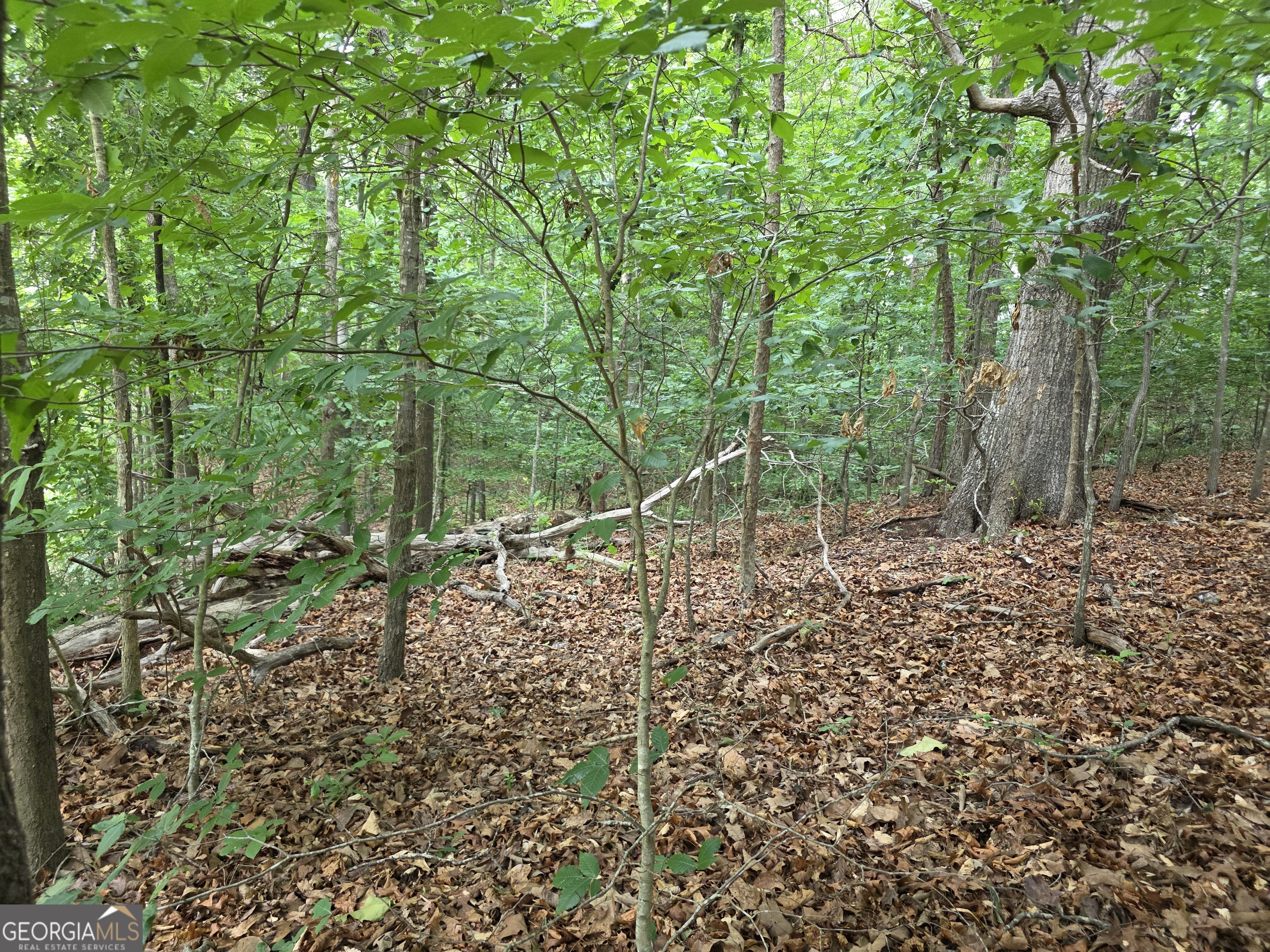 Lot 270 Arrow Lane Property Photo 4
