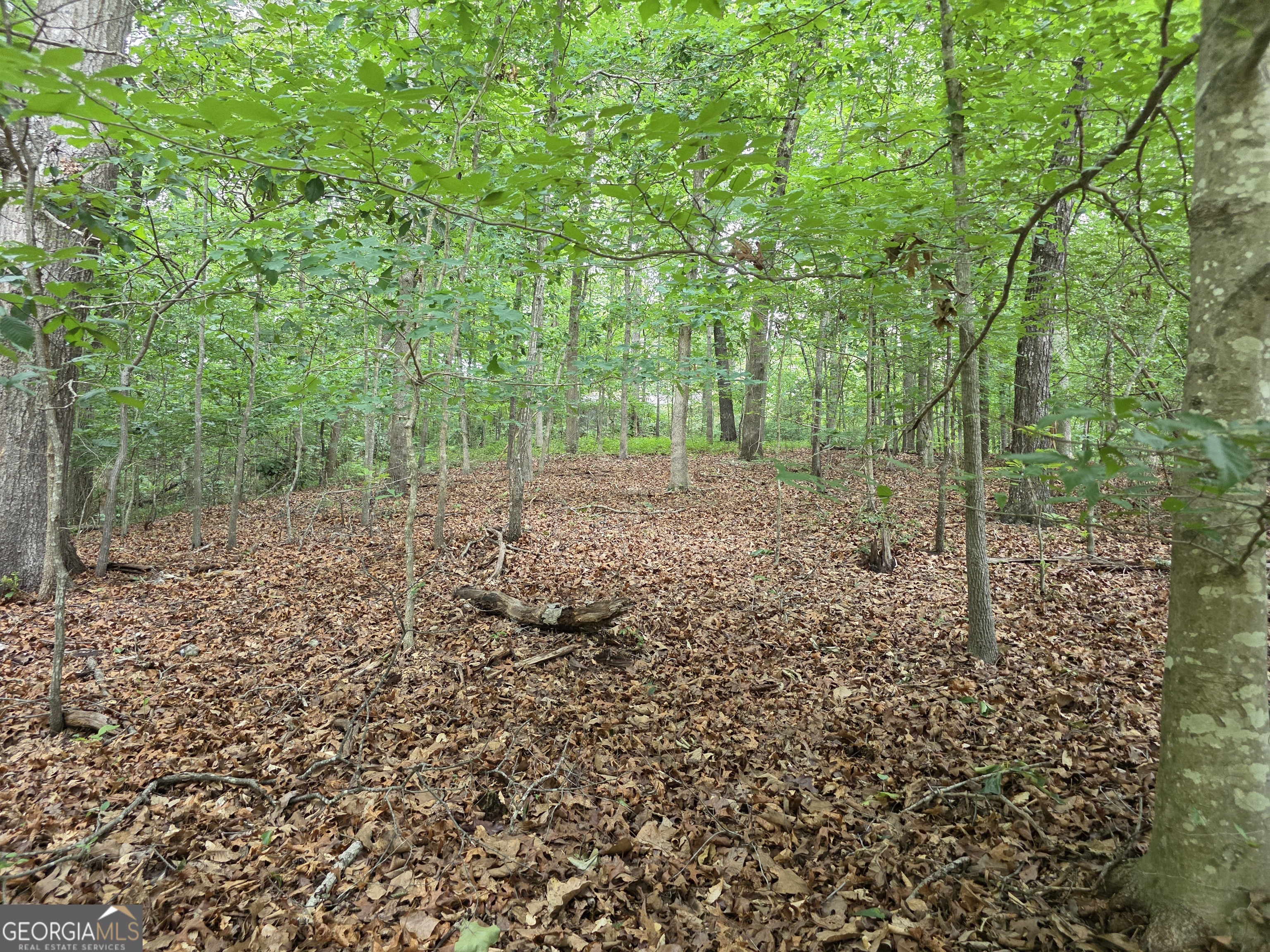 Lot 270 Arrow Lane Property Photo 5