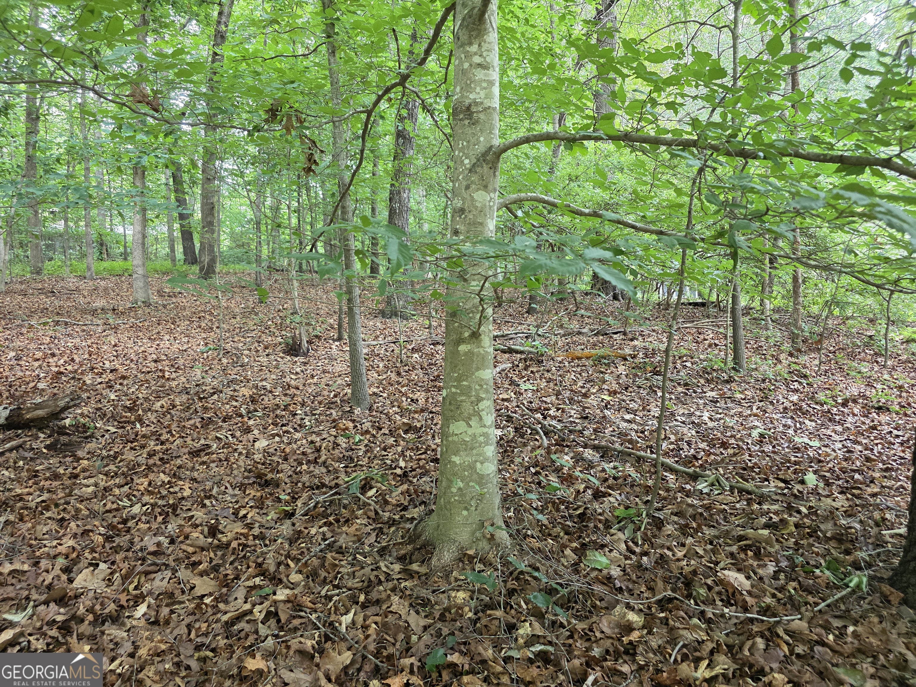 Lot 270 Arrow Lane Property Photo 6