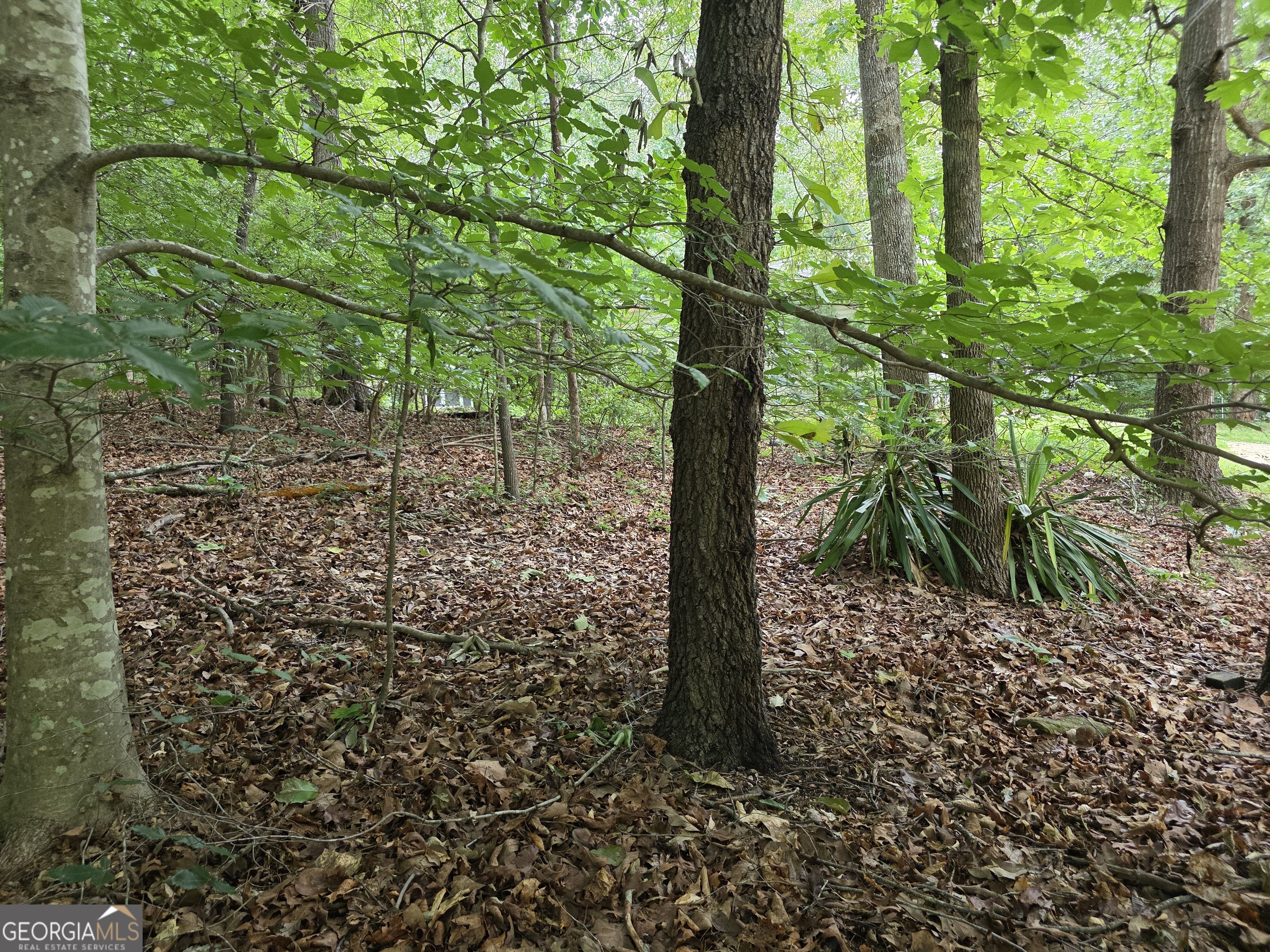 Lot 270 Arrow Lane Property Photo 7