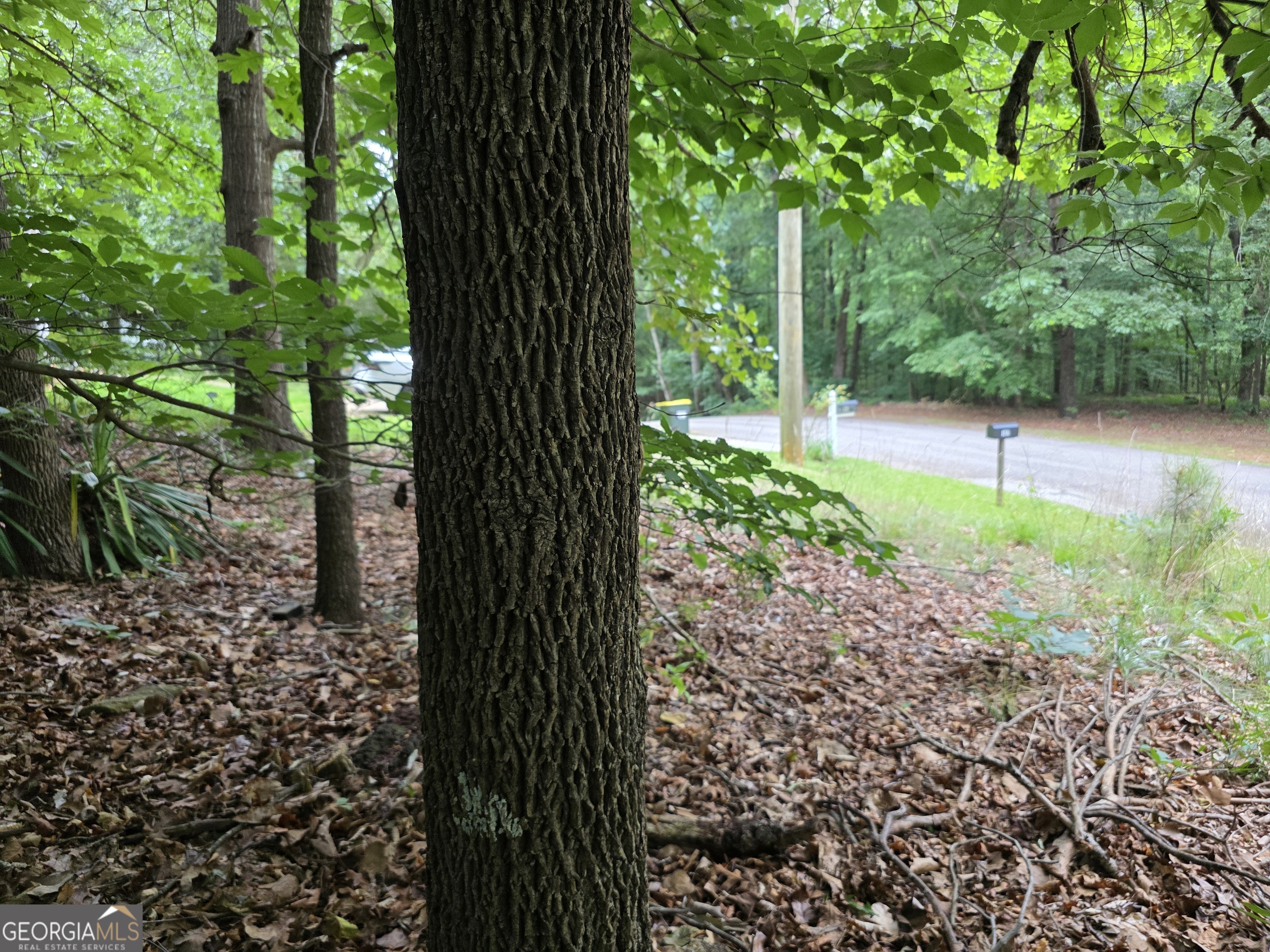 Lot 270 Arrow Lane Property Photo 8