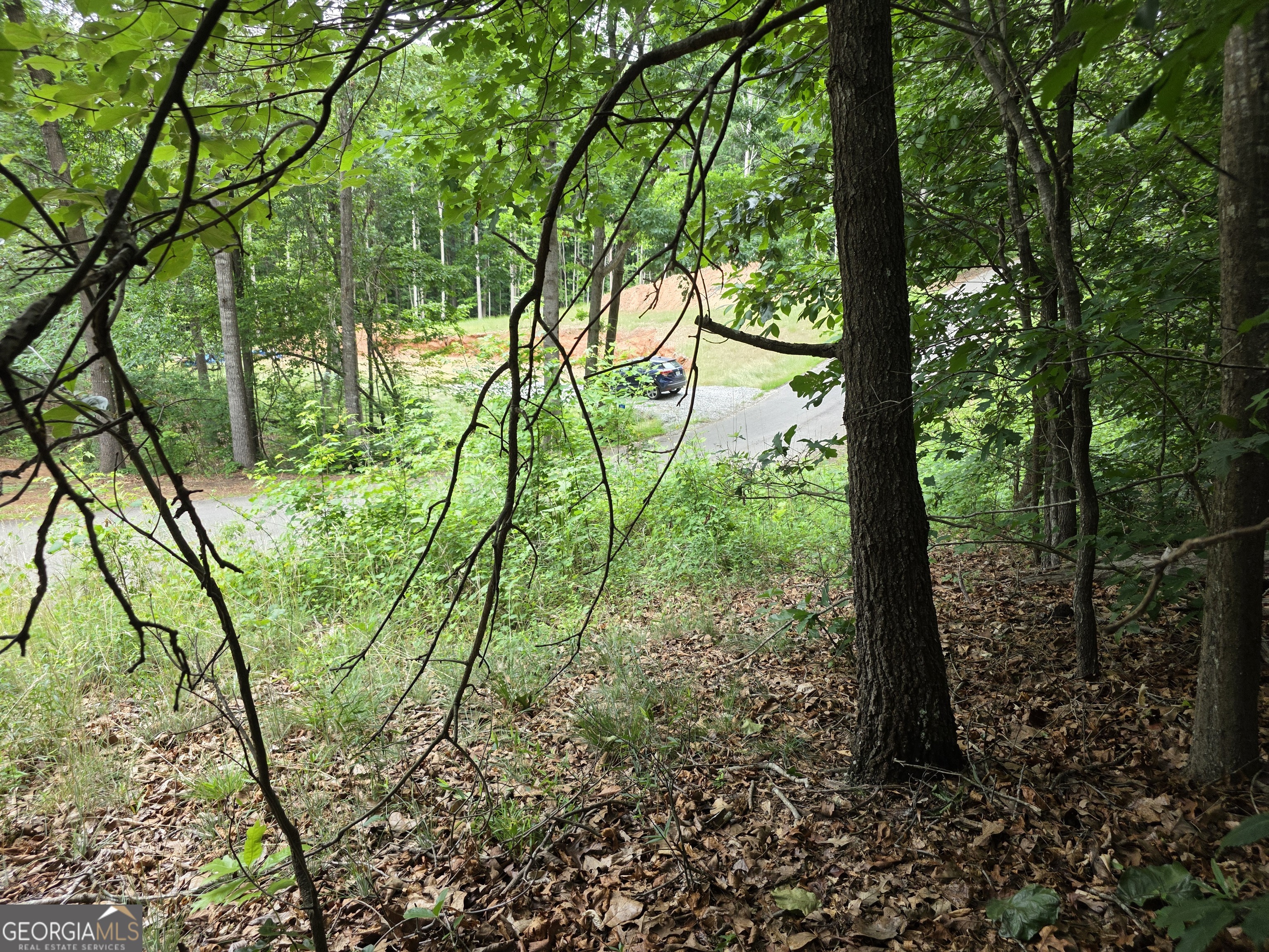 Lot 270 Arrow Lane Property Photo 10
