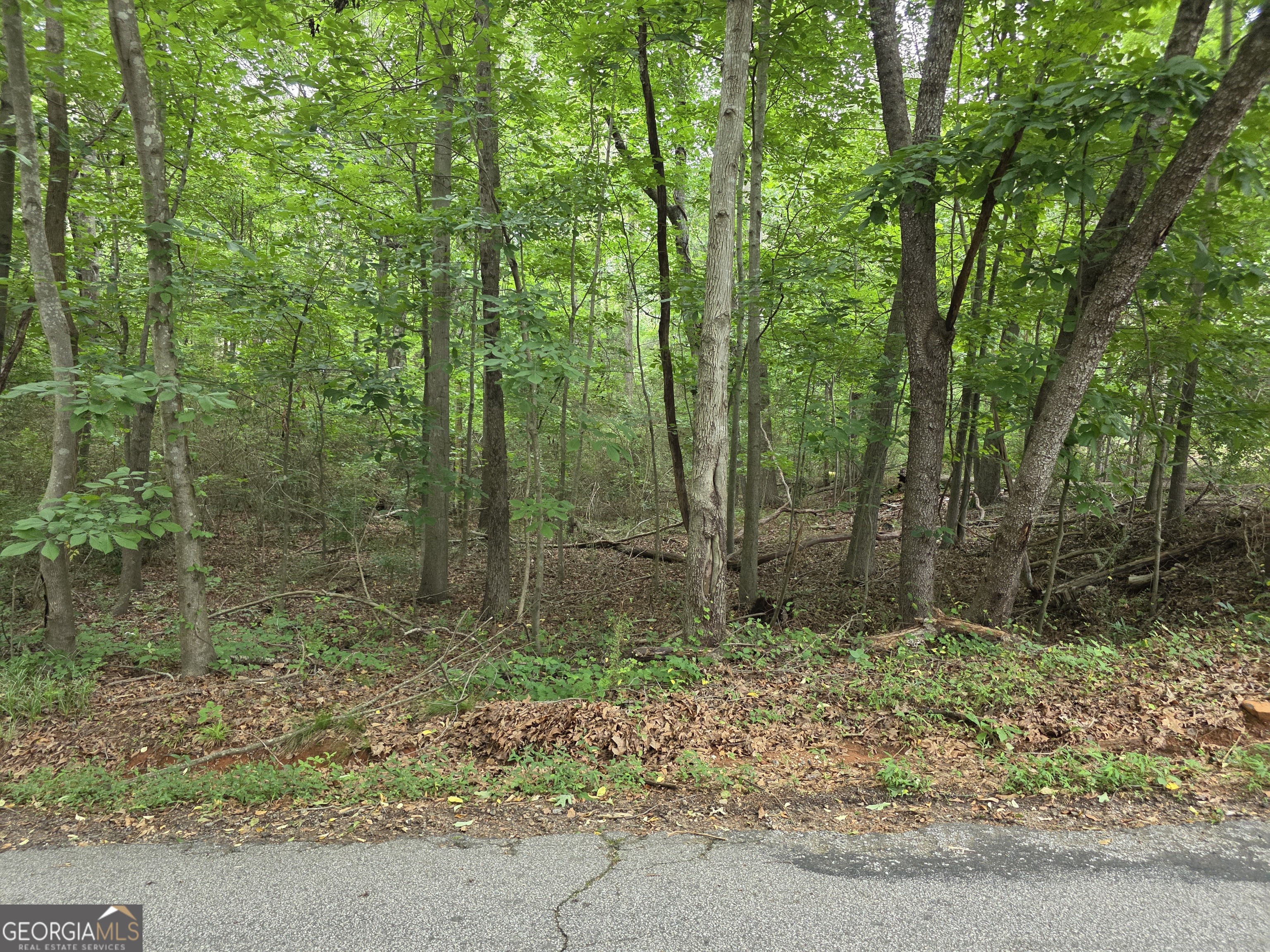LOT 109 Arrowhead Drive Property Photo 1