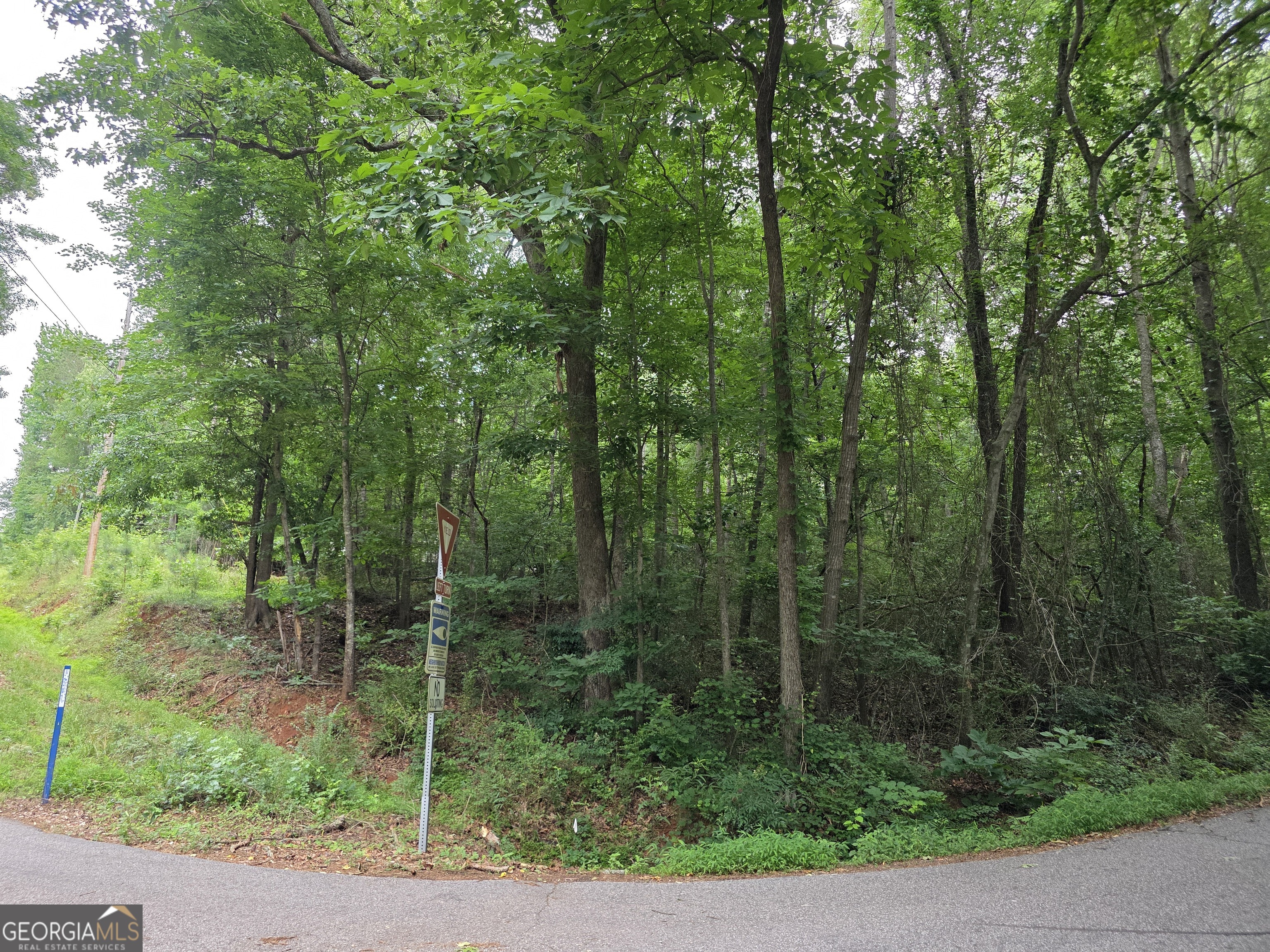 Lot 109 Arrowhead Drive Property Photo 2