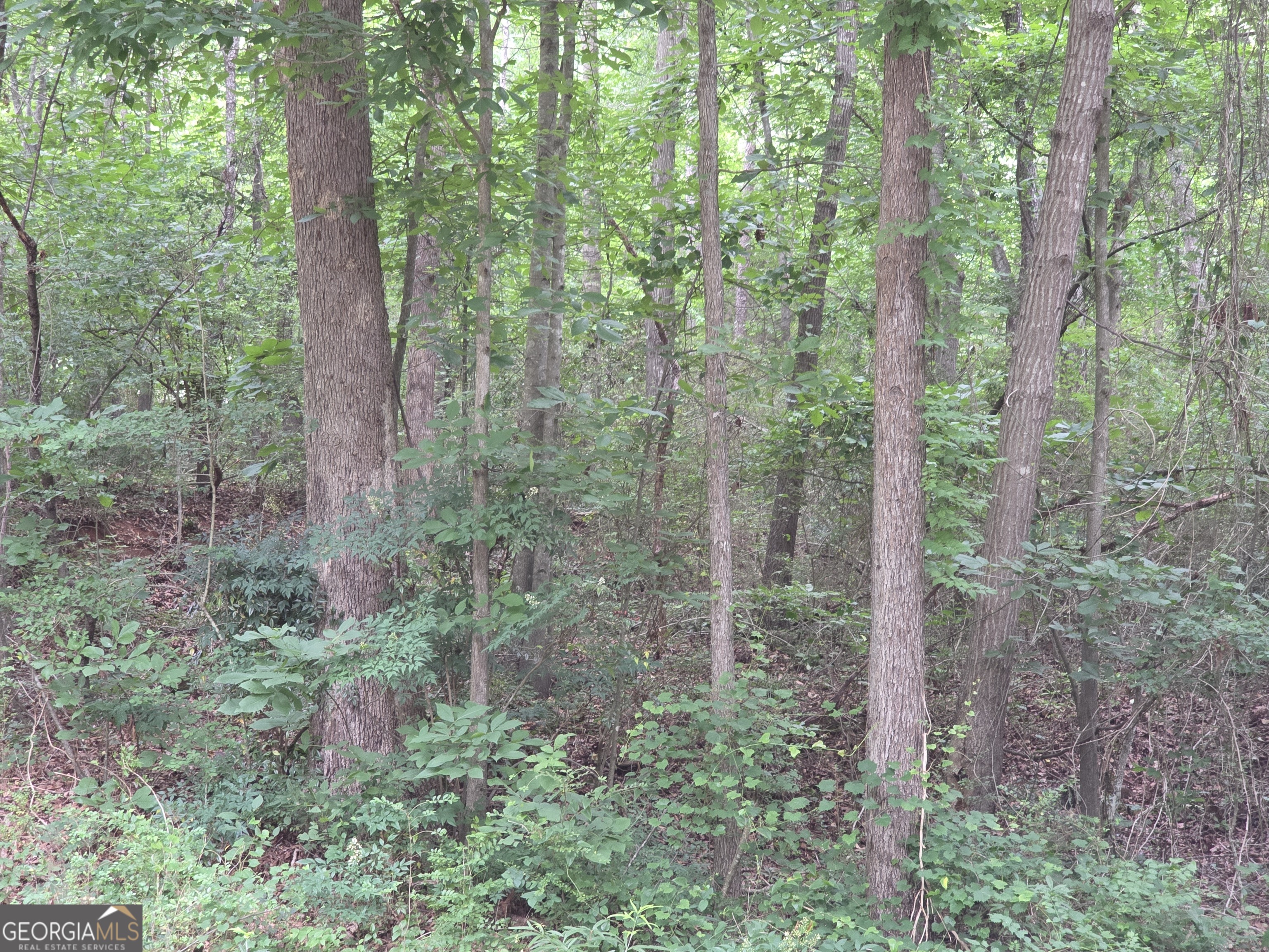 Lot 109 Arrowhead Drive Property Photo 4