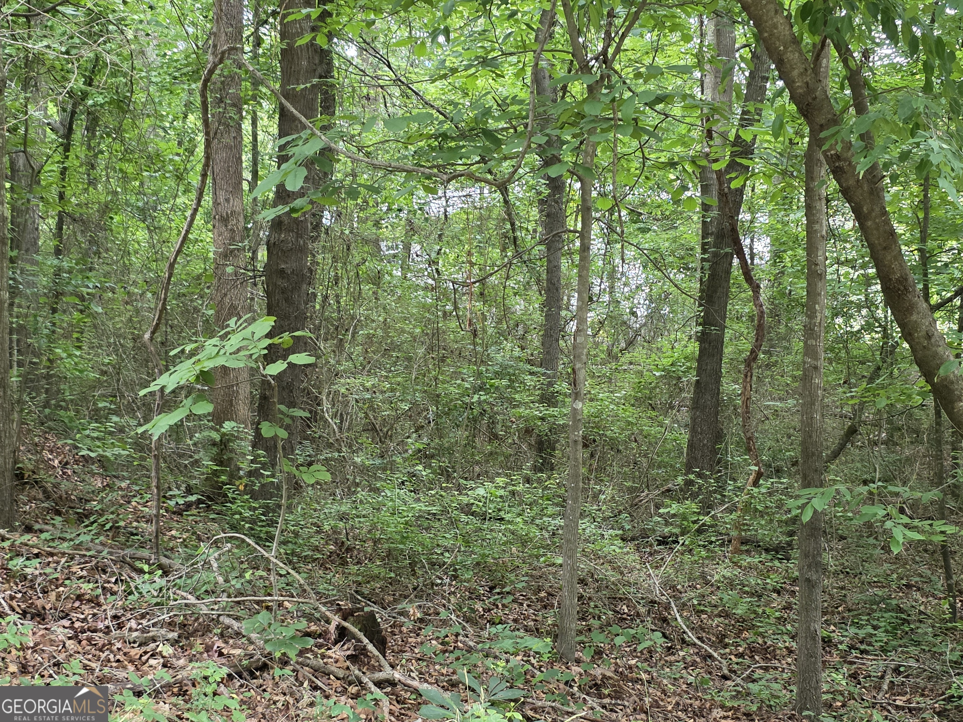 Lot 109 Arrowhead Drive Property Photo 5