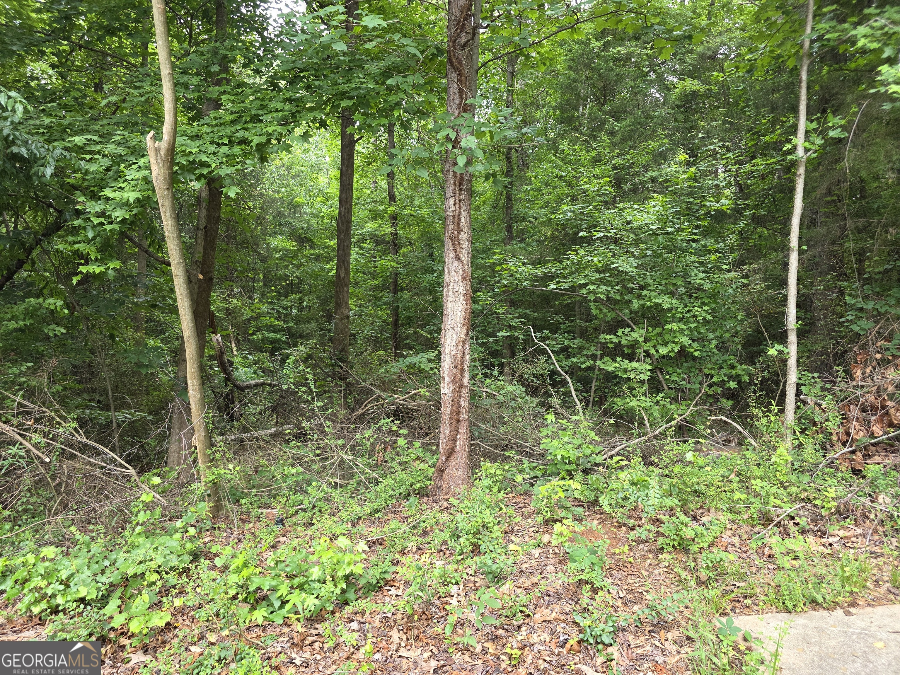 Lot 109 Arrowhead Drive Property Photo 6