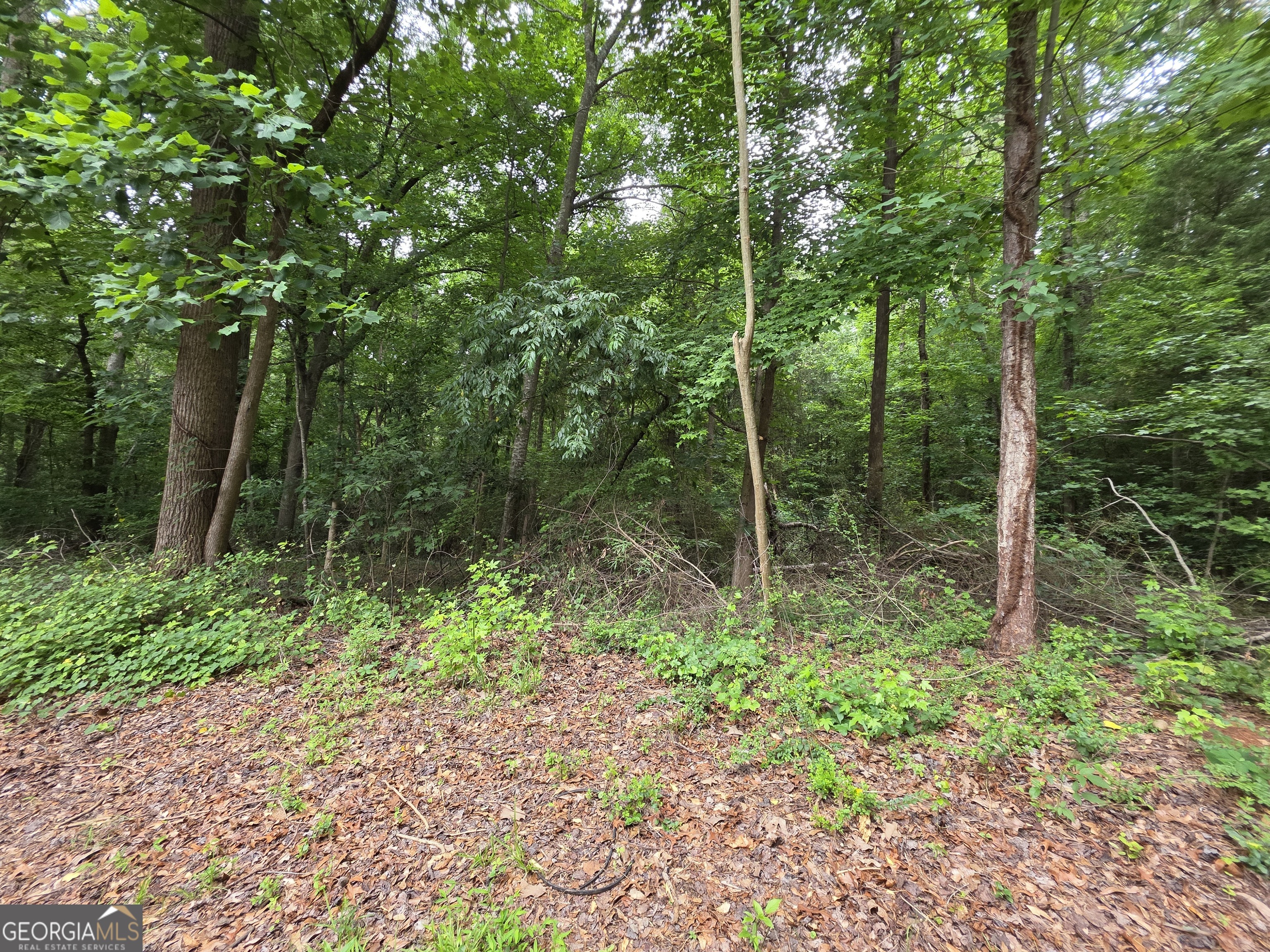 Lot 109 Arrowhead Drive Property Photo 7