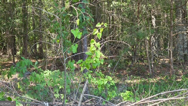 0 Willow Lake Road