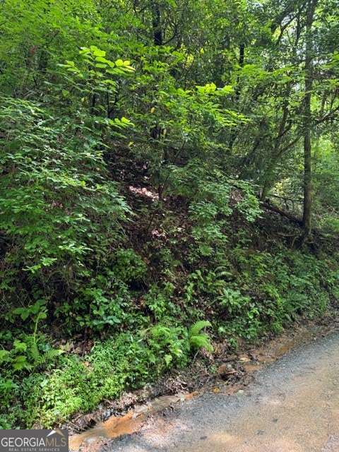 Lot 2 Kells Ridge Property Photo 3