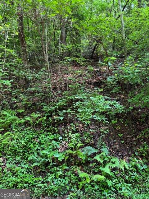 Lot 2 Kells Ridge Property Photo 4