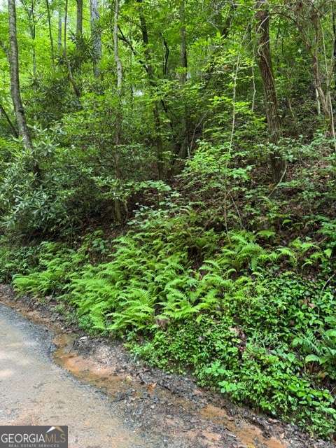 Lot 2 Kells Ridge Property Photo 6