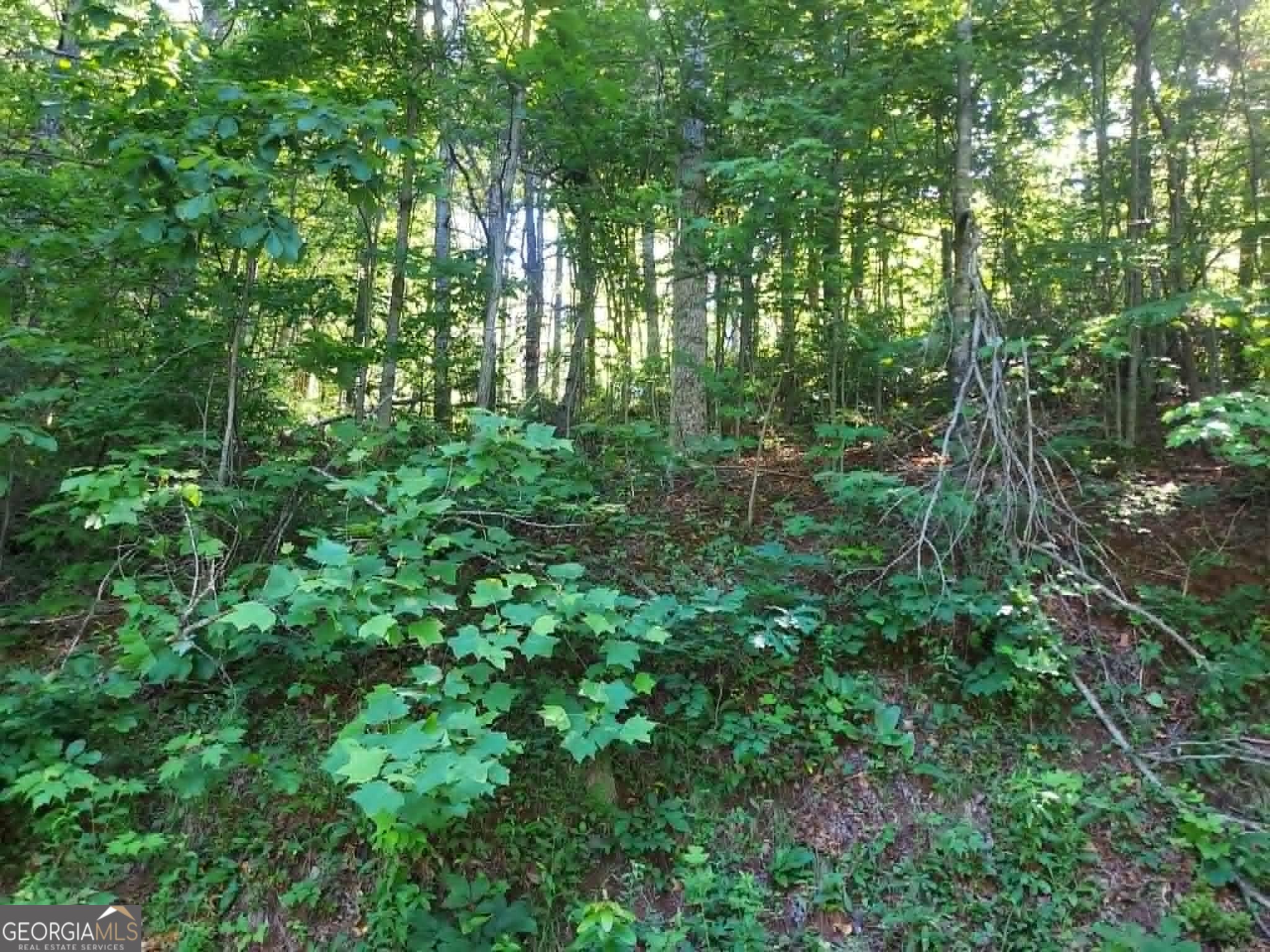 0 Driver Lane Property Photo 2