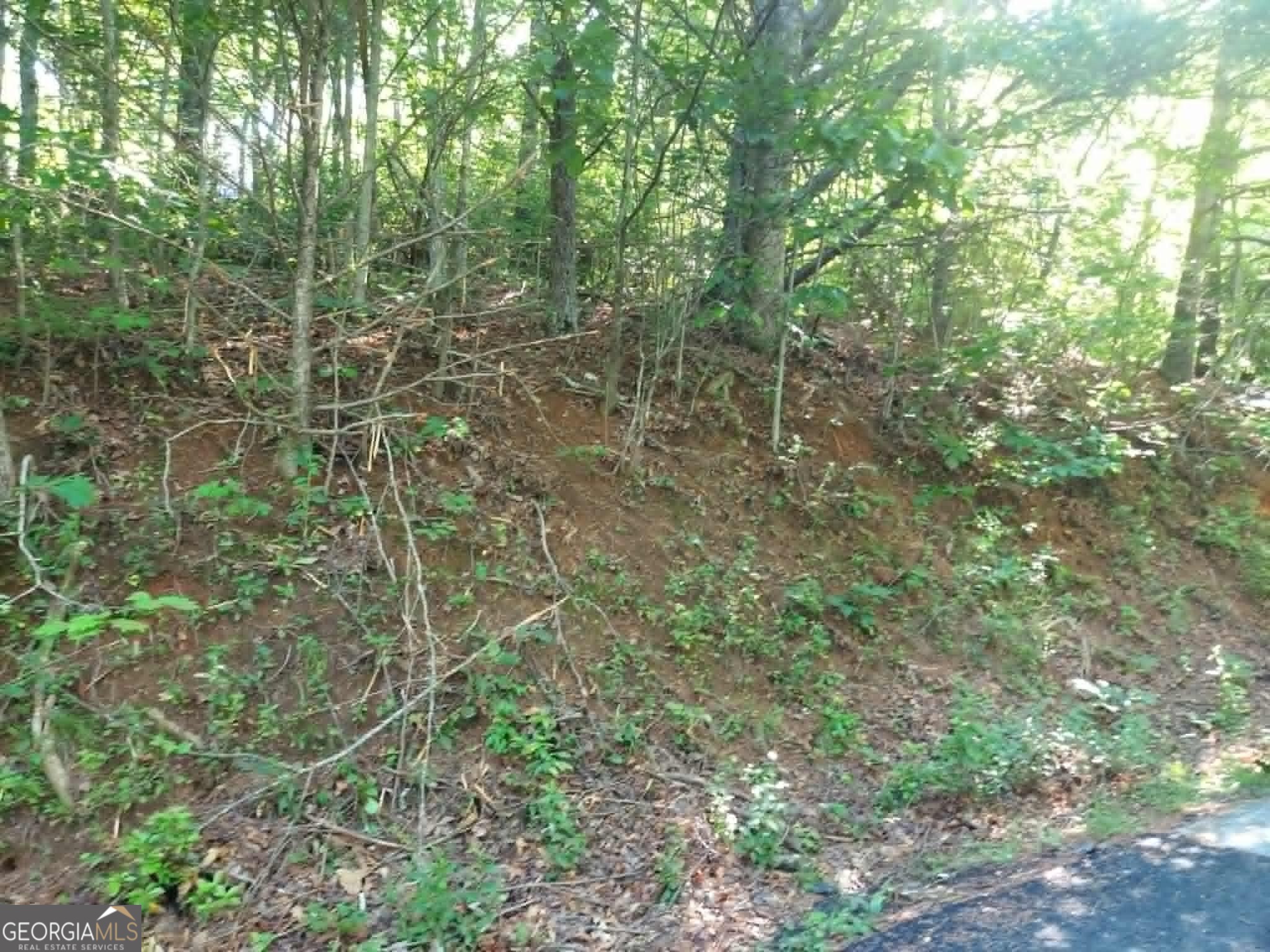 0 Driver Lane Property Photo 5