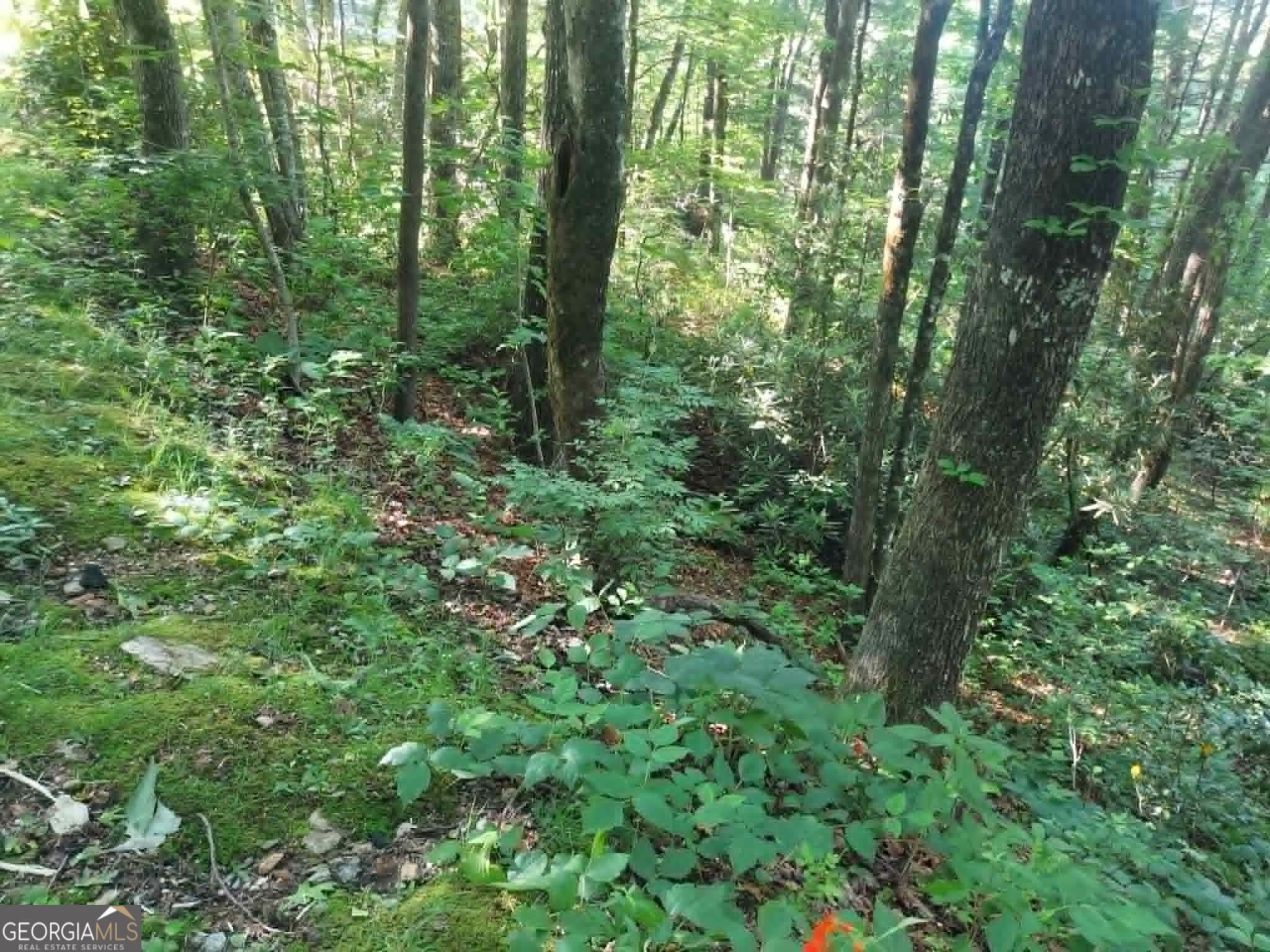 0 Driver Lane Property Photo 6