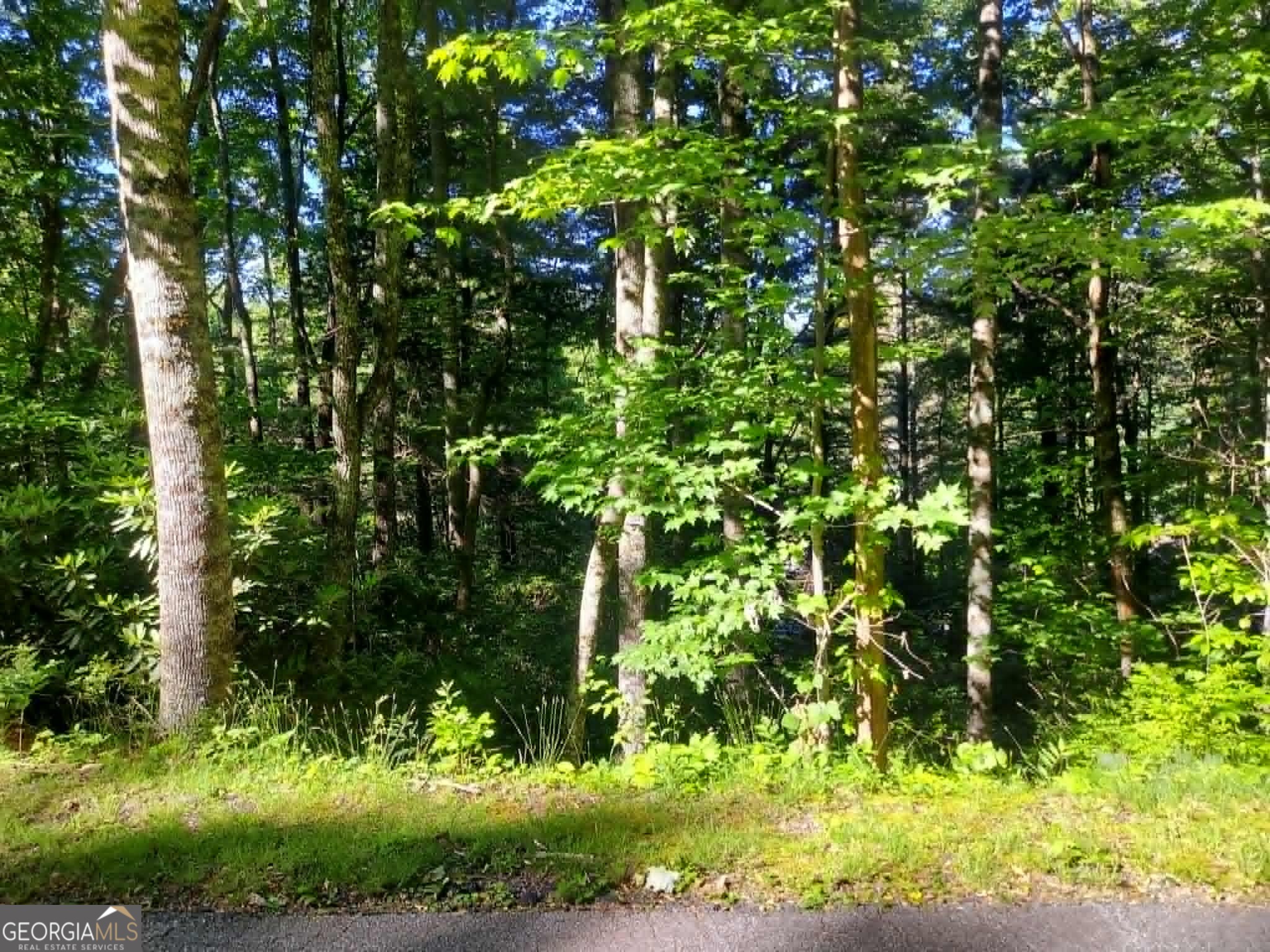 0 Driver Lane Property Photo 9