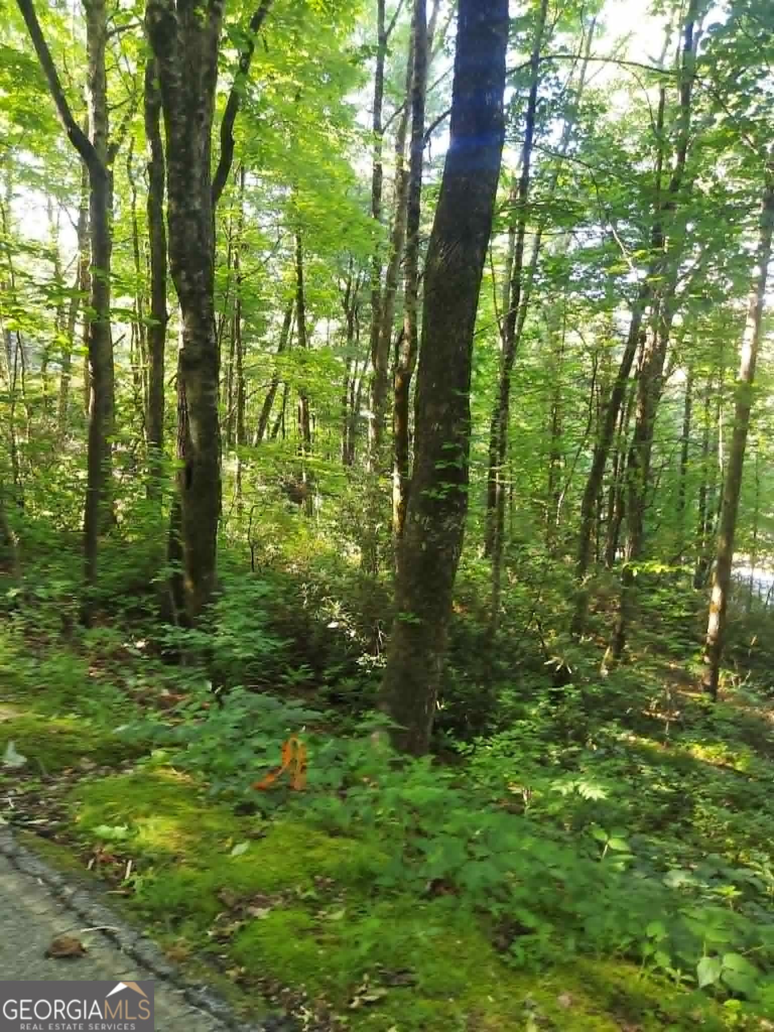 0 Driver Lane Property Photo 10