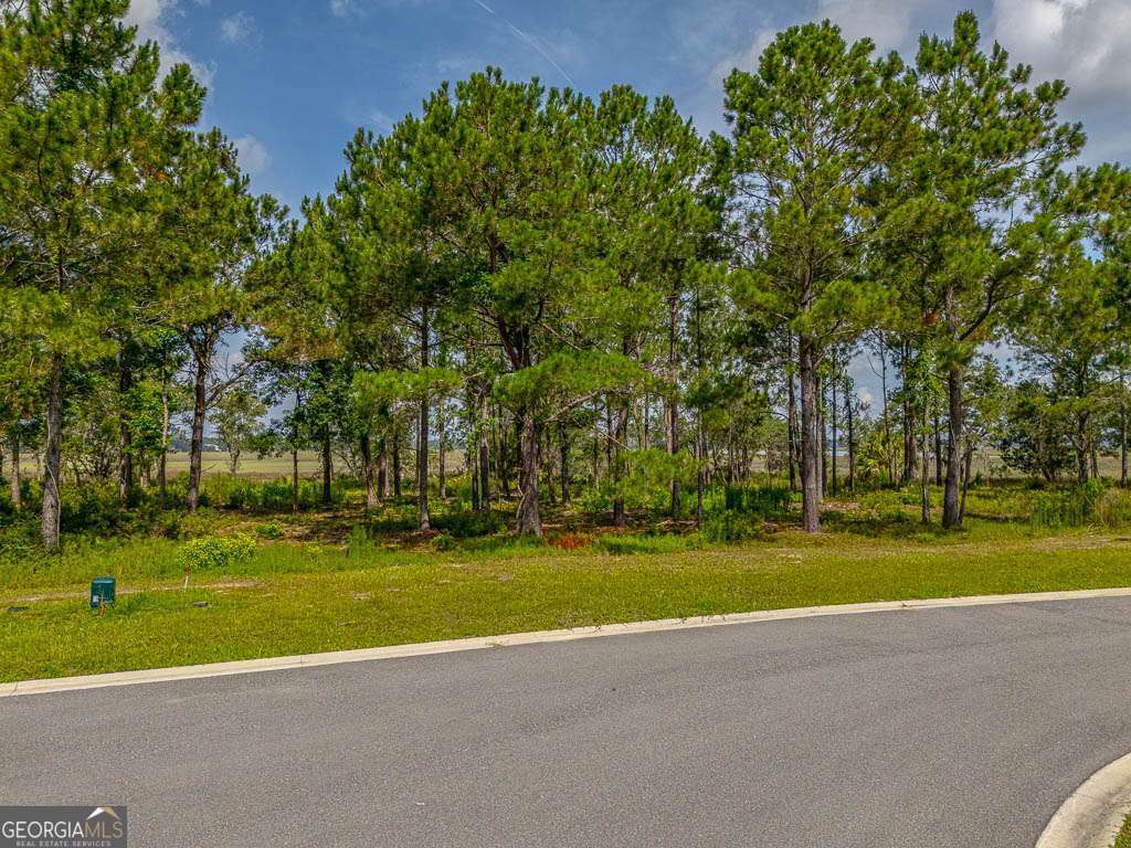 Lot 98 Wards Way Property Photo 4