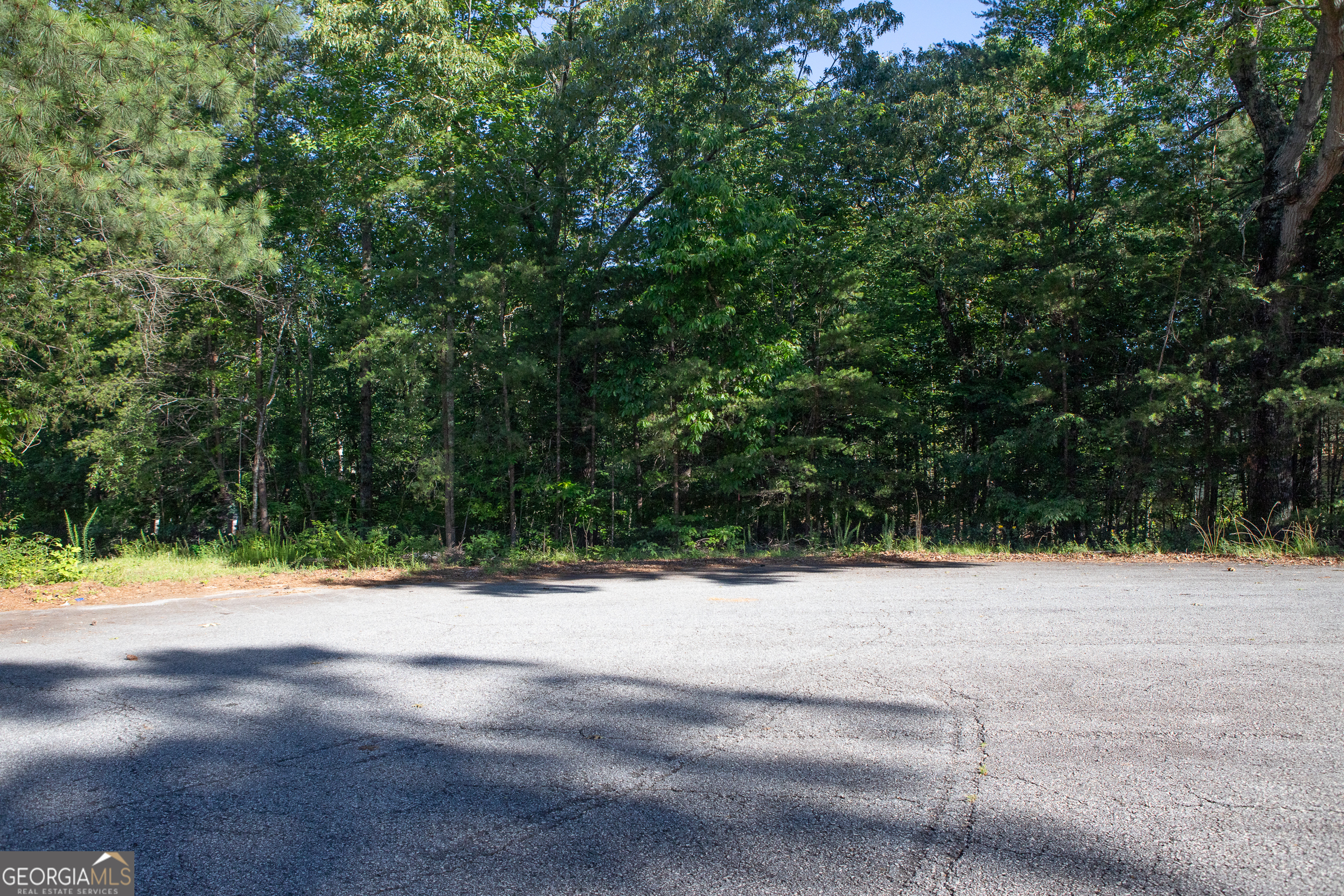 0 Kerns Ridge Court Property Photo 1