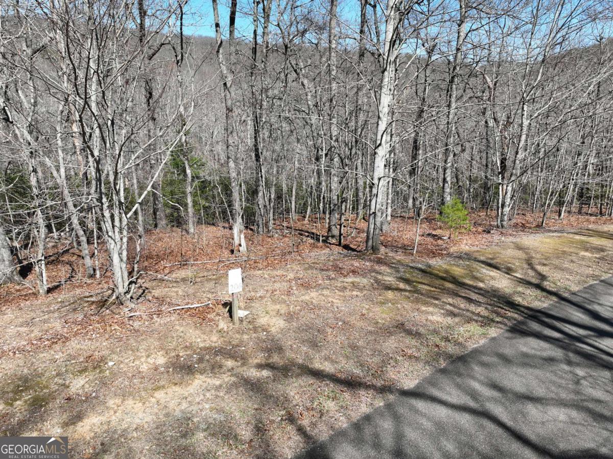 206 Northview Parkway Property Photo 7