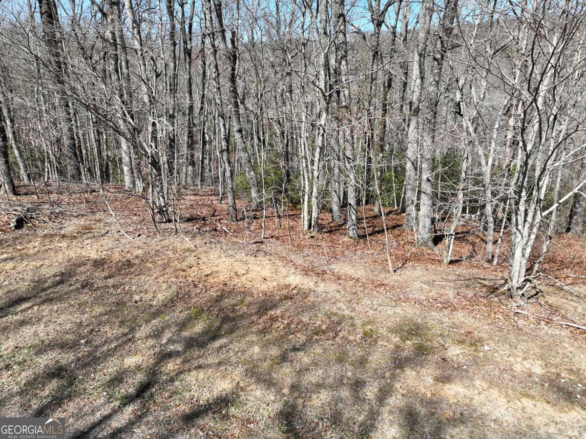 206 Northview Parkway Property Photo 8