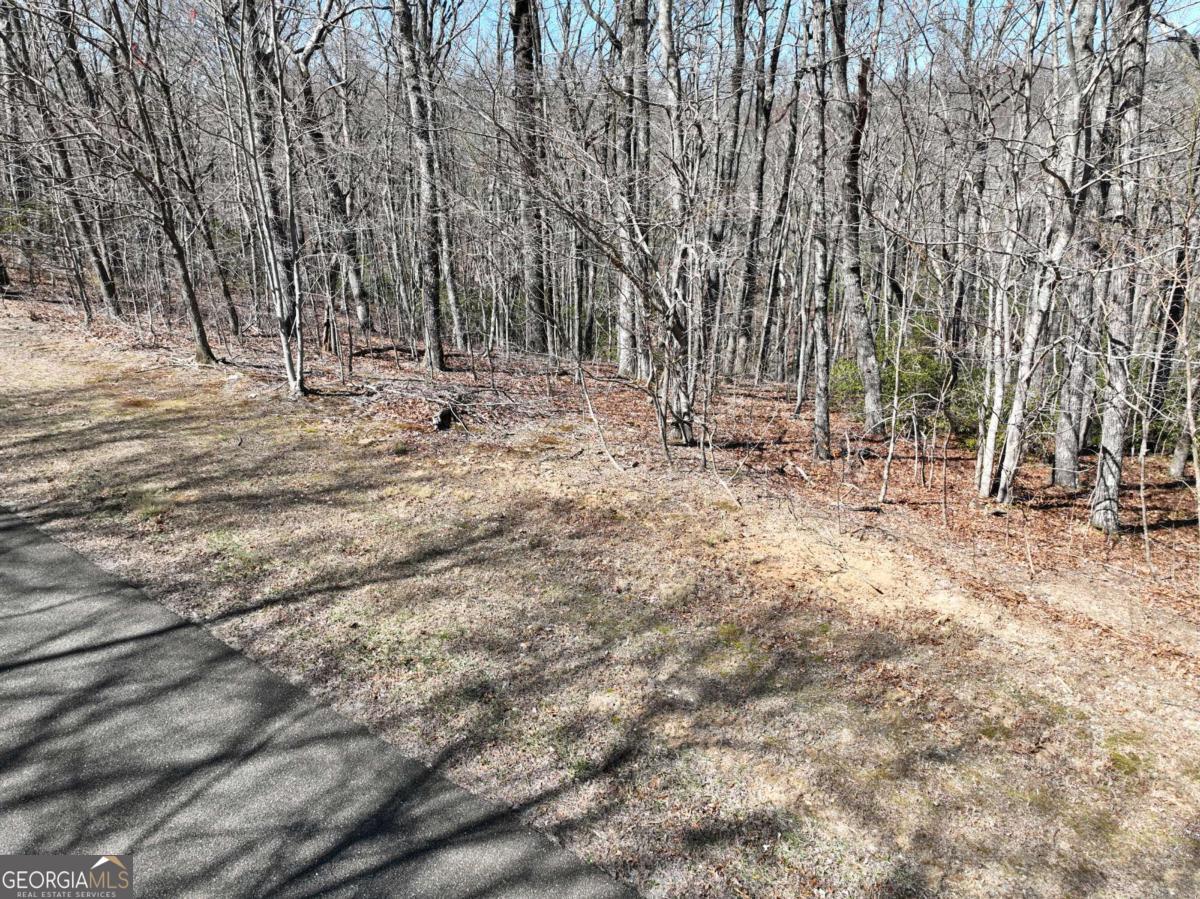 206 Northview Parkway Property Photo 10