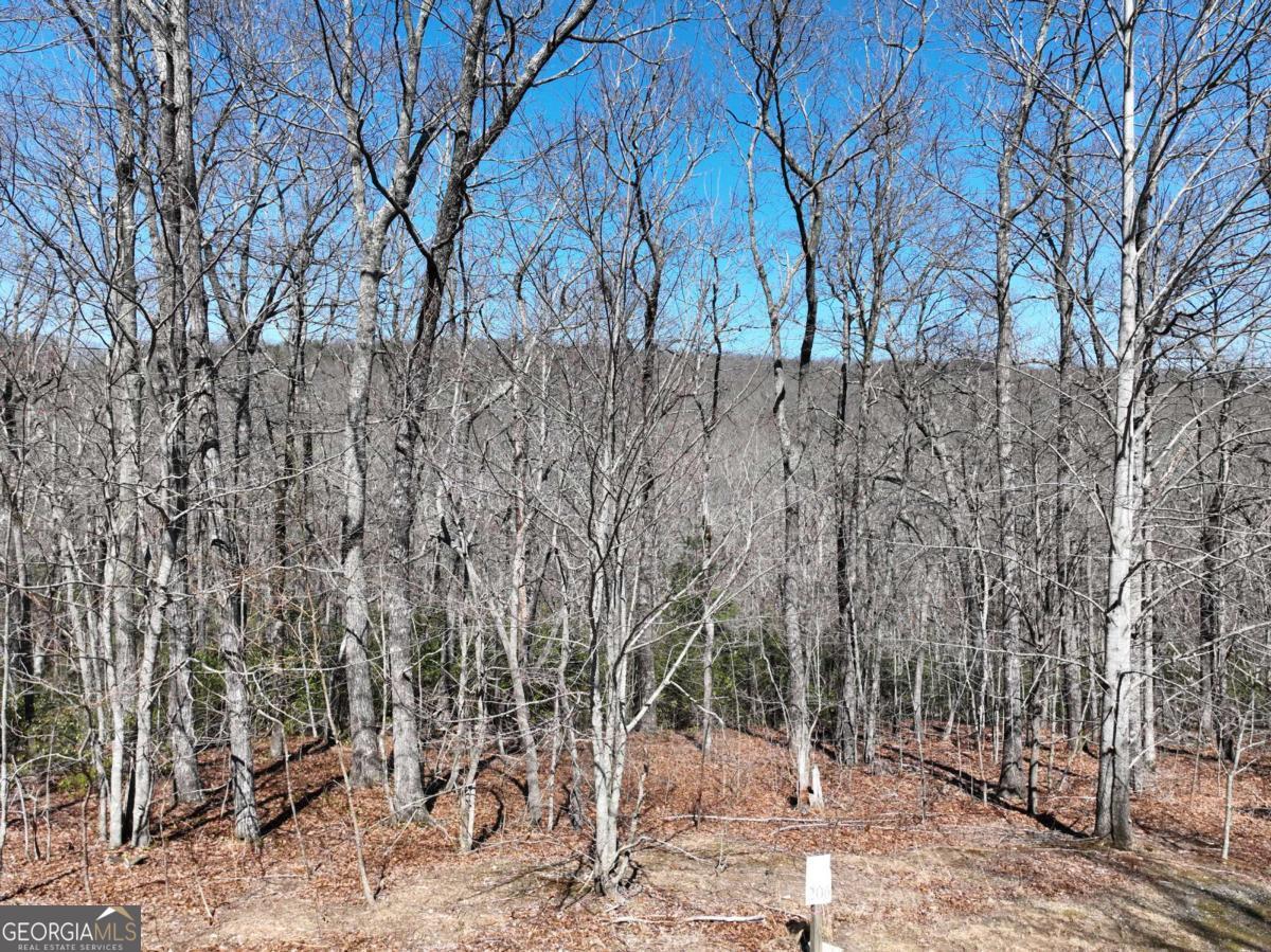 206 Northview Parkway Property Photo 21
