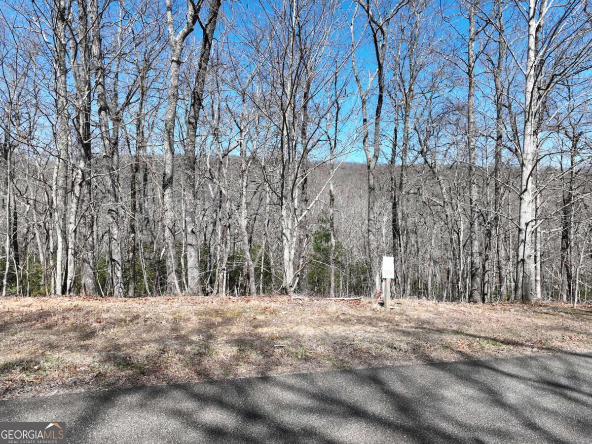 206 Northview Parkway Property Photo 22
