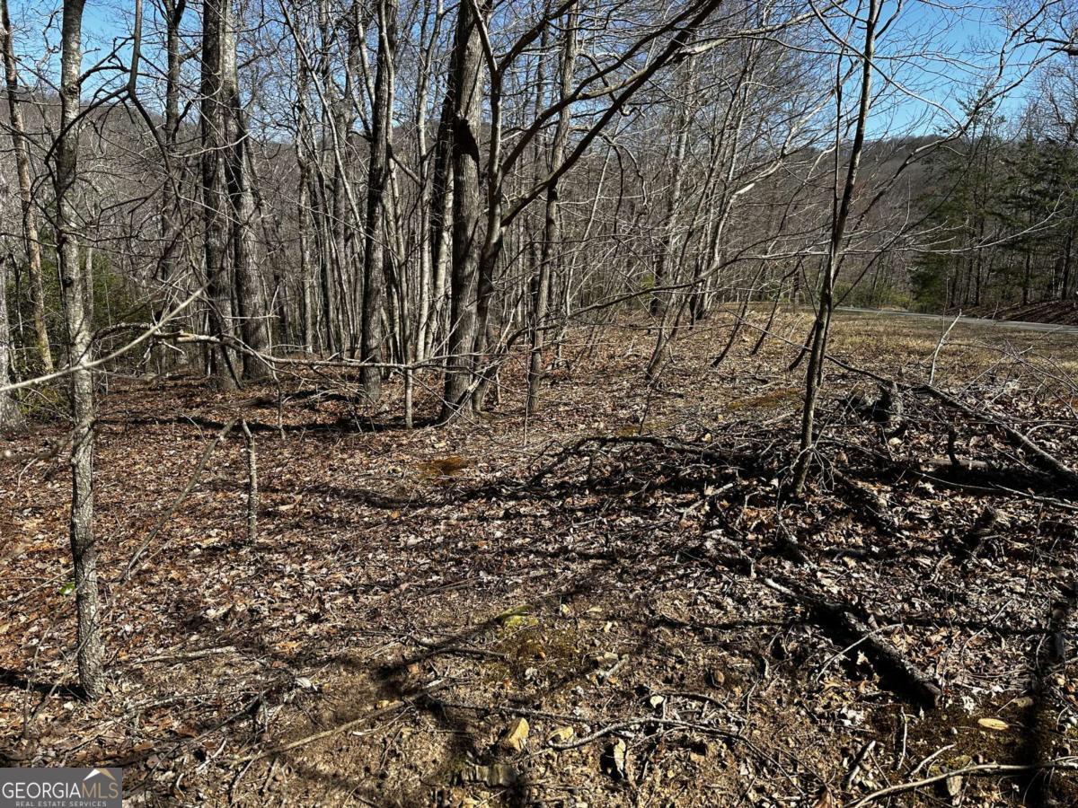 206 Northview Parkway Property Photo 23