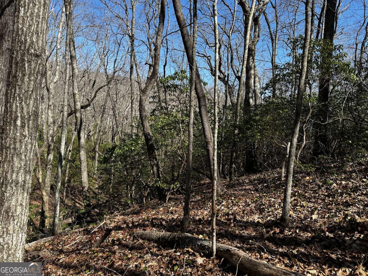 206 Northview Parkway Property Photo 27