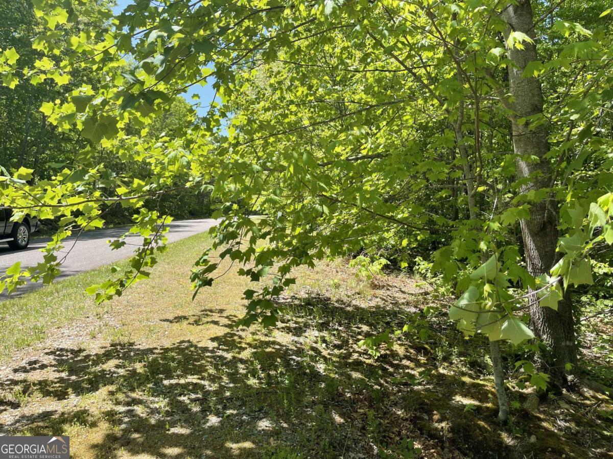 206 Northview Parkway Property Photo 41