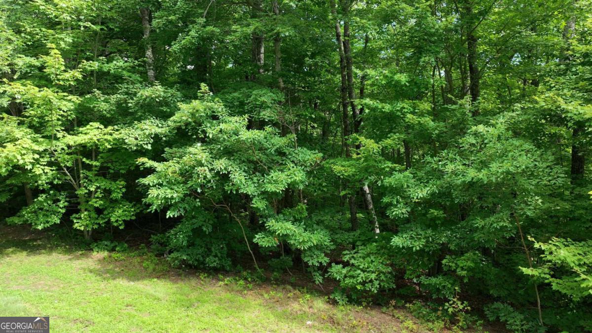 206 Northview Parkway Property Photo 44