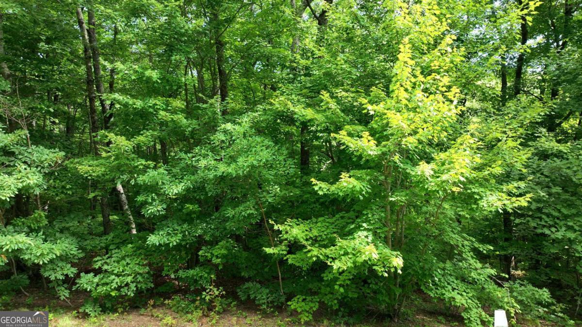 206 Northview Parkway Property Photo 45