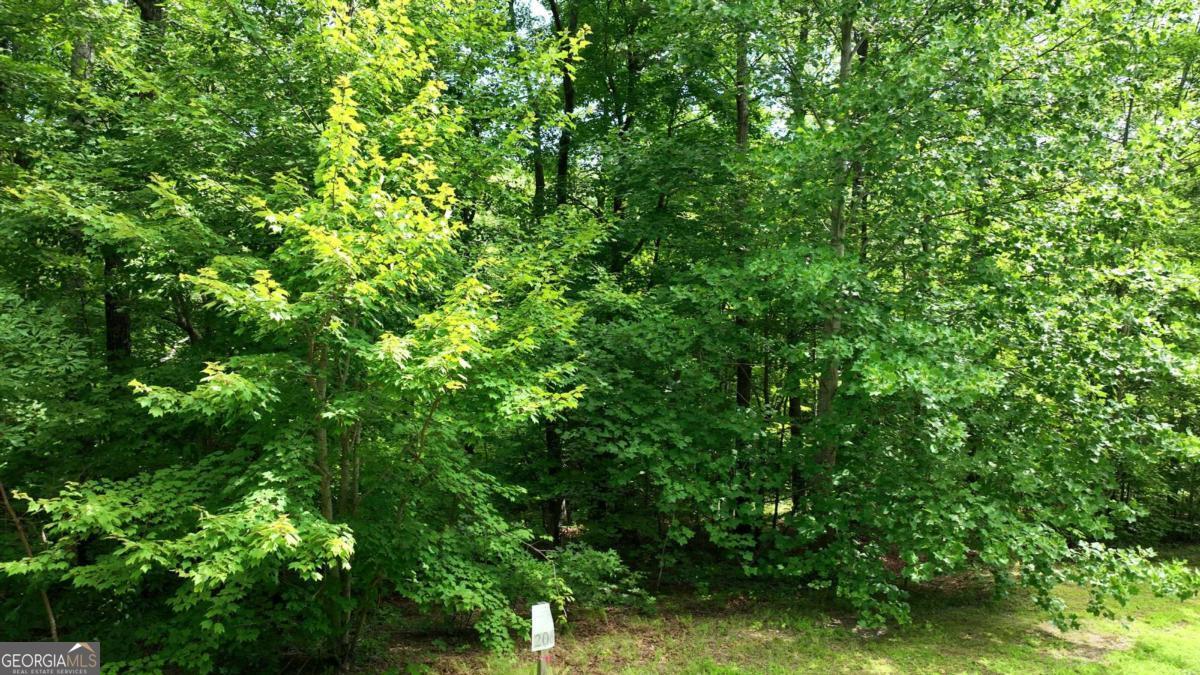206 Northview Parkway Property Photo 46