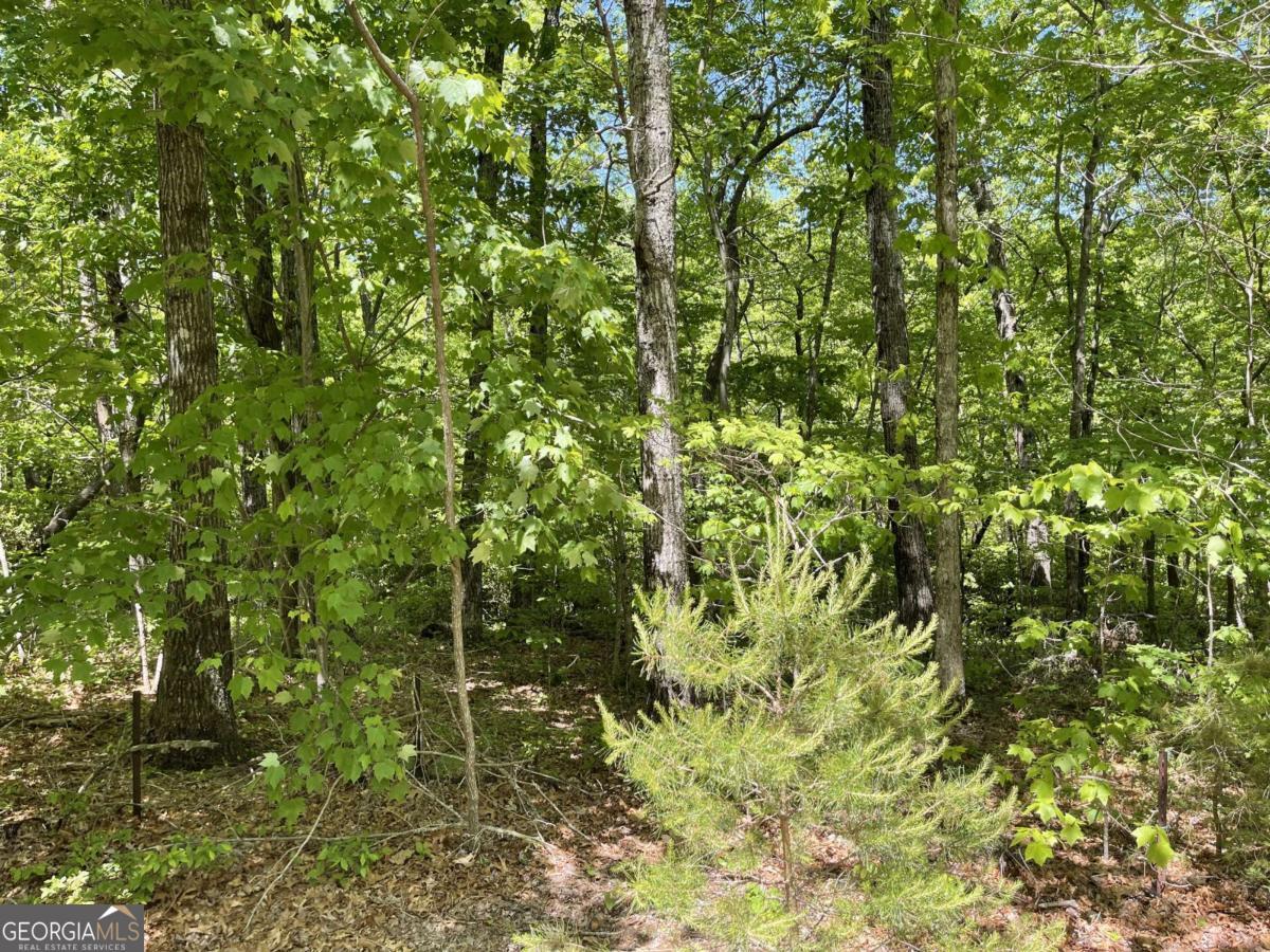 206 Northview Parkway Property Photo 54