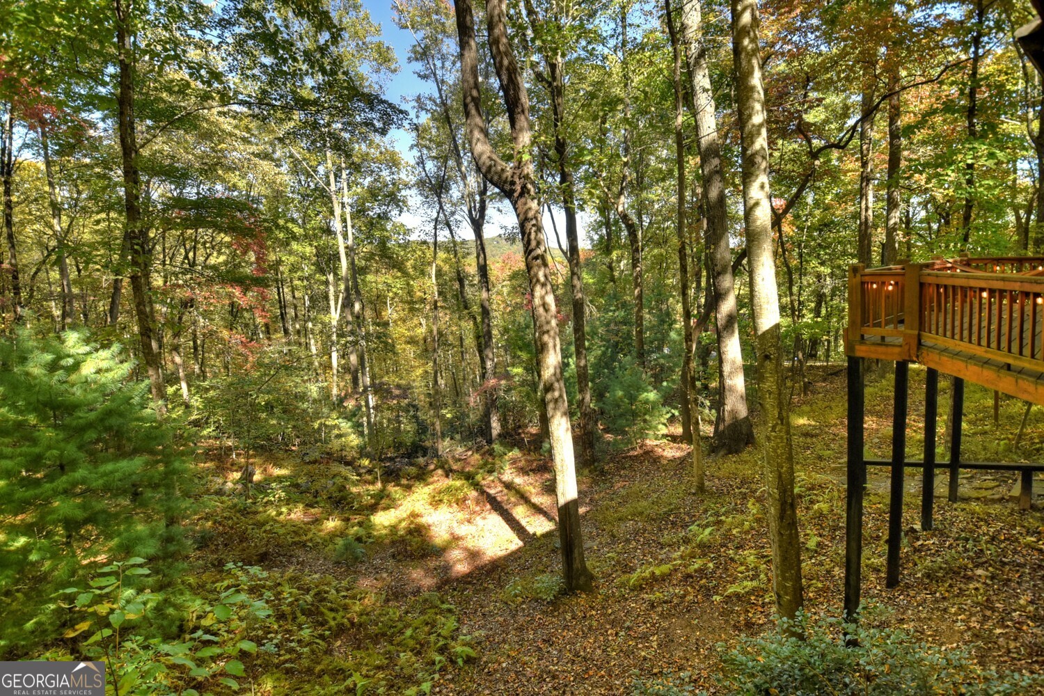 9 Joanna Court Property Photo 28