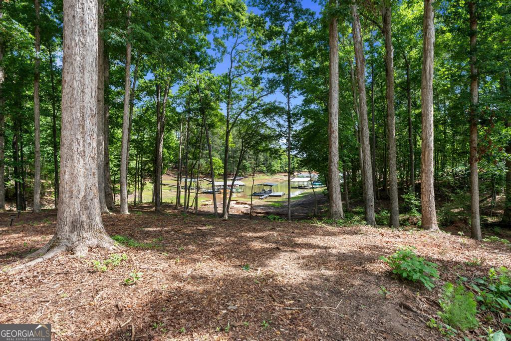 183 Lake Pointe Road Property Photo 65